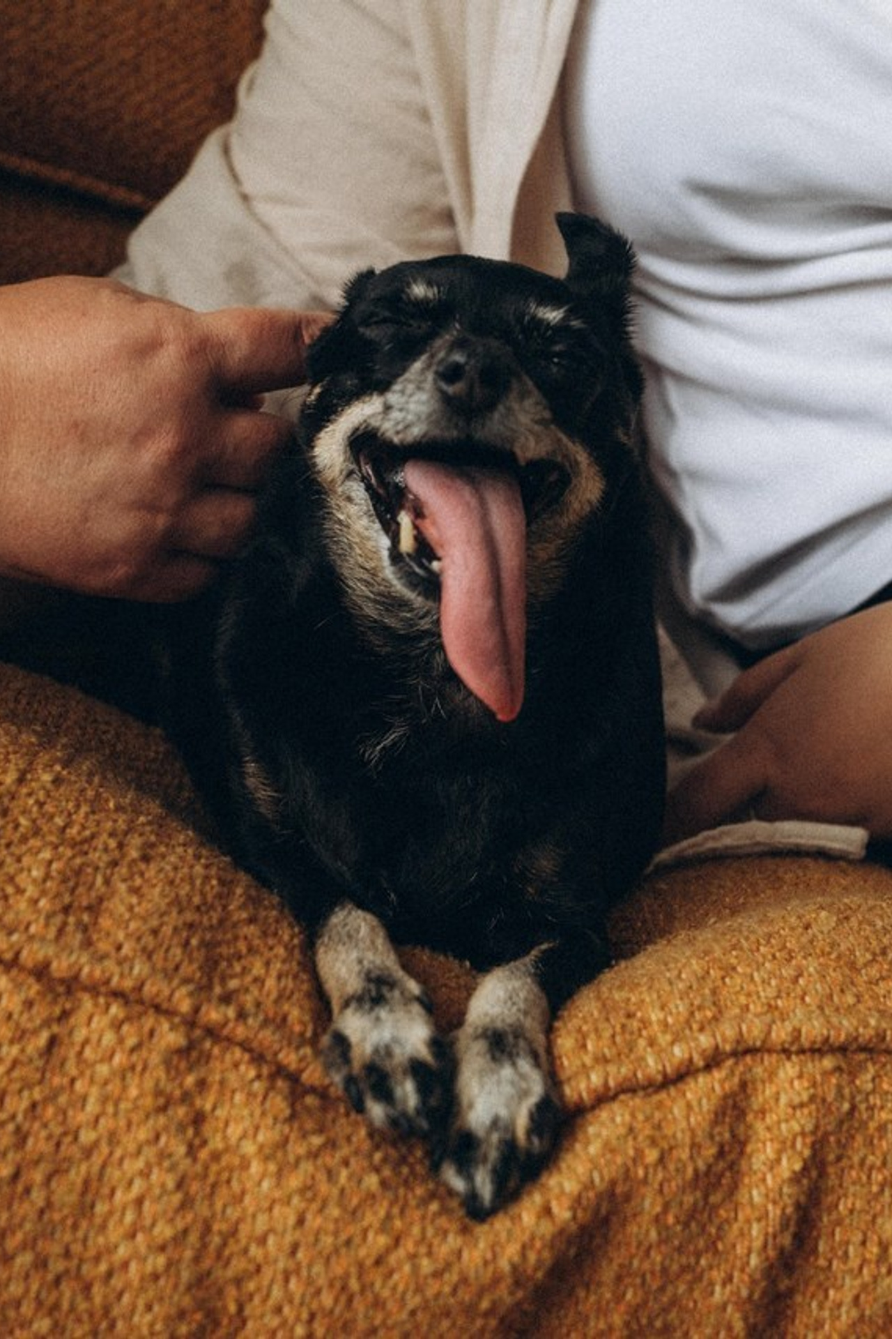 Отзывы. Семейный фотограф и анималист в Москве Анна Иванова