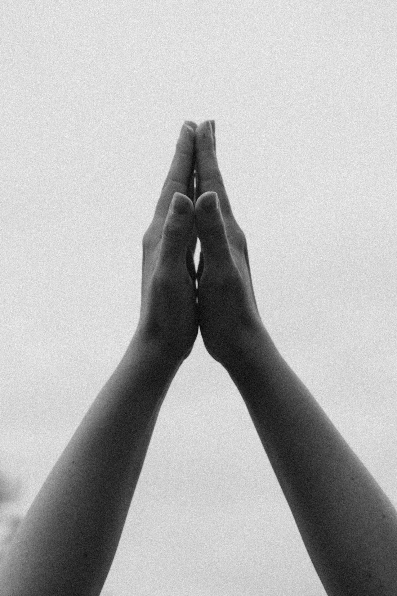 Отзывы. Семейный фотограф и анималист в Москве Анна Иванова