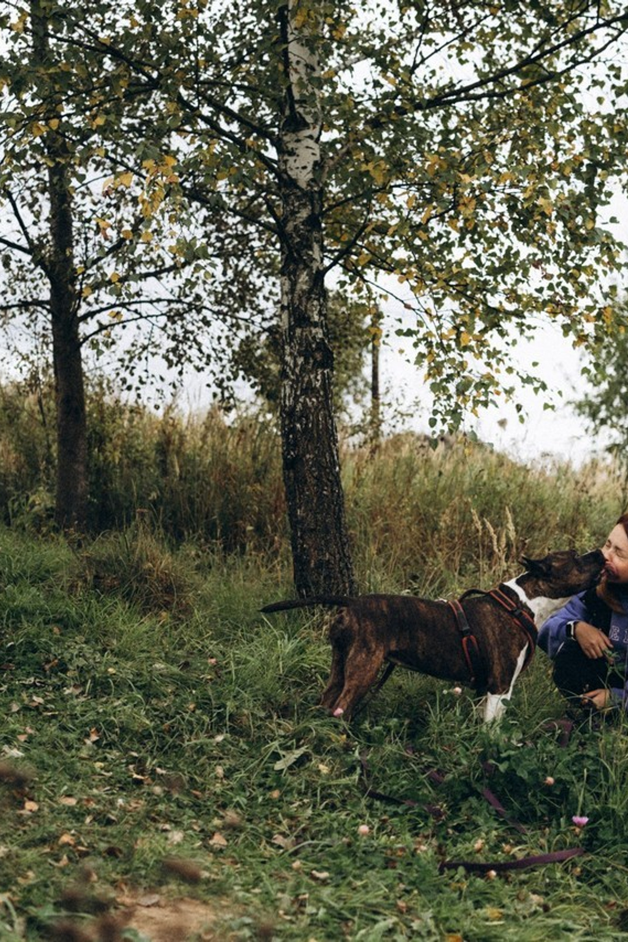 Отзывы. Семейный фотограф и анималист в Москве Анна Иванова