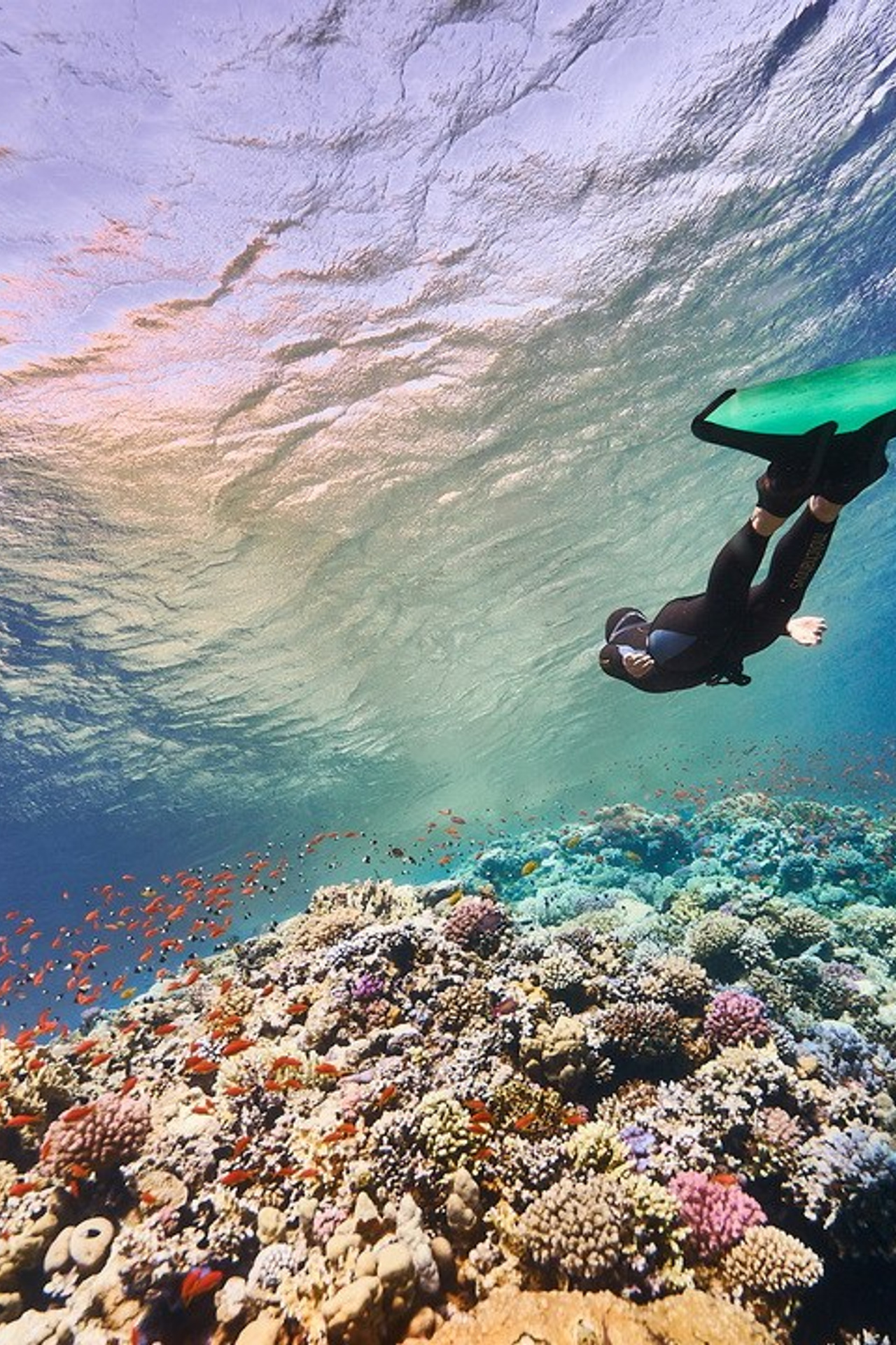 Подводная съемка в море