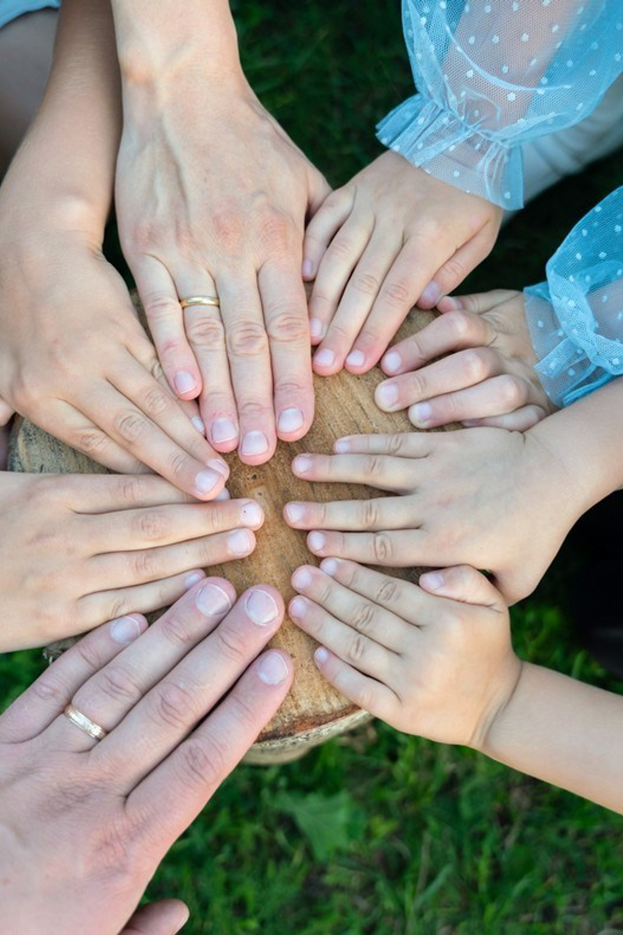 Прогулка большой семьёй