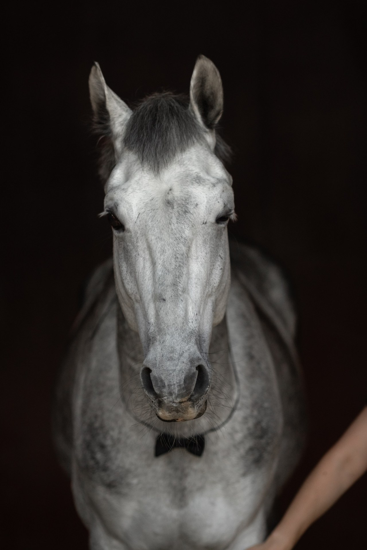 Отзывы. Фотограф Светлана Грачева