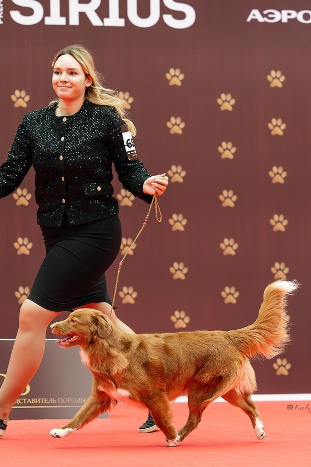 Отзывы. Фотограф. Фотограф-анималист. Москва