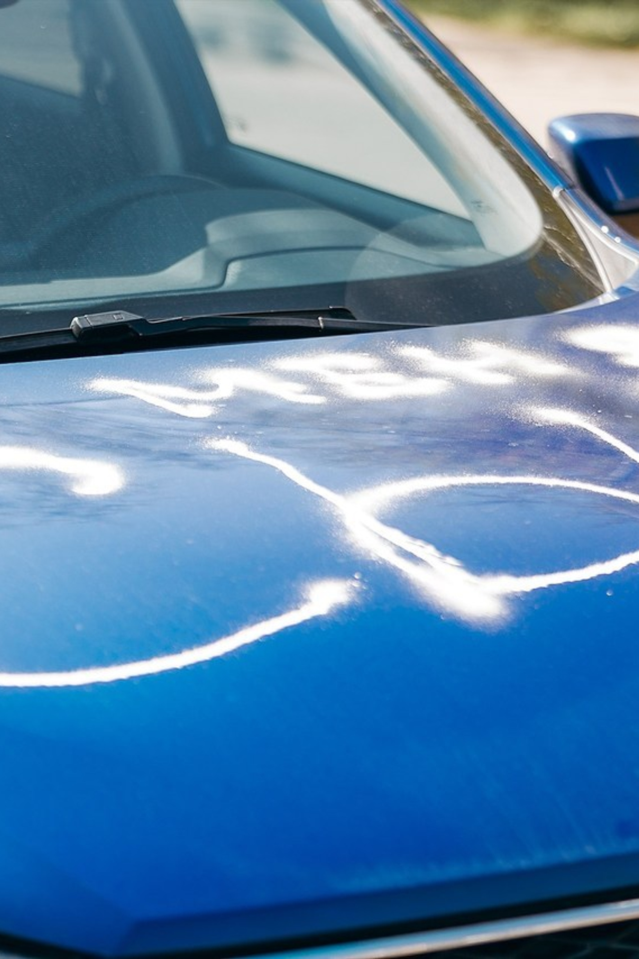 Отзывы. Фотограф. Фотограф-анималист. Москва