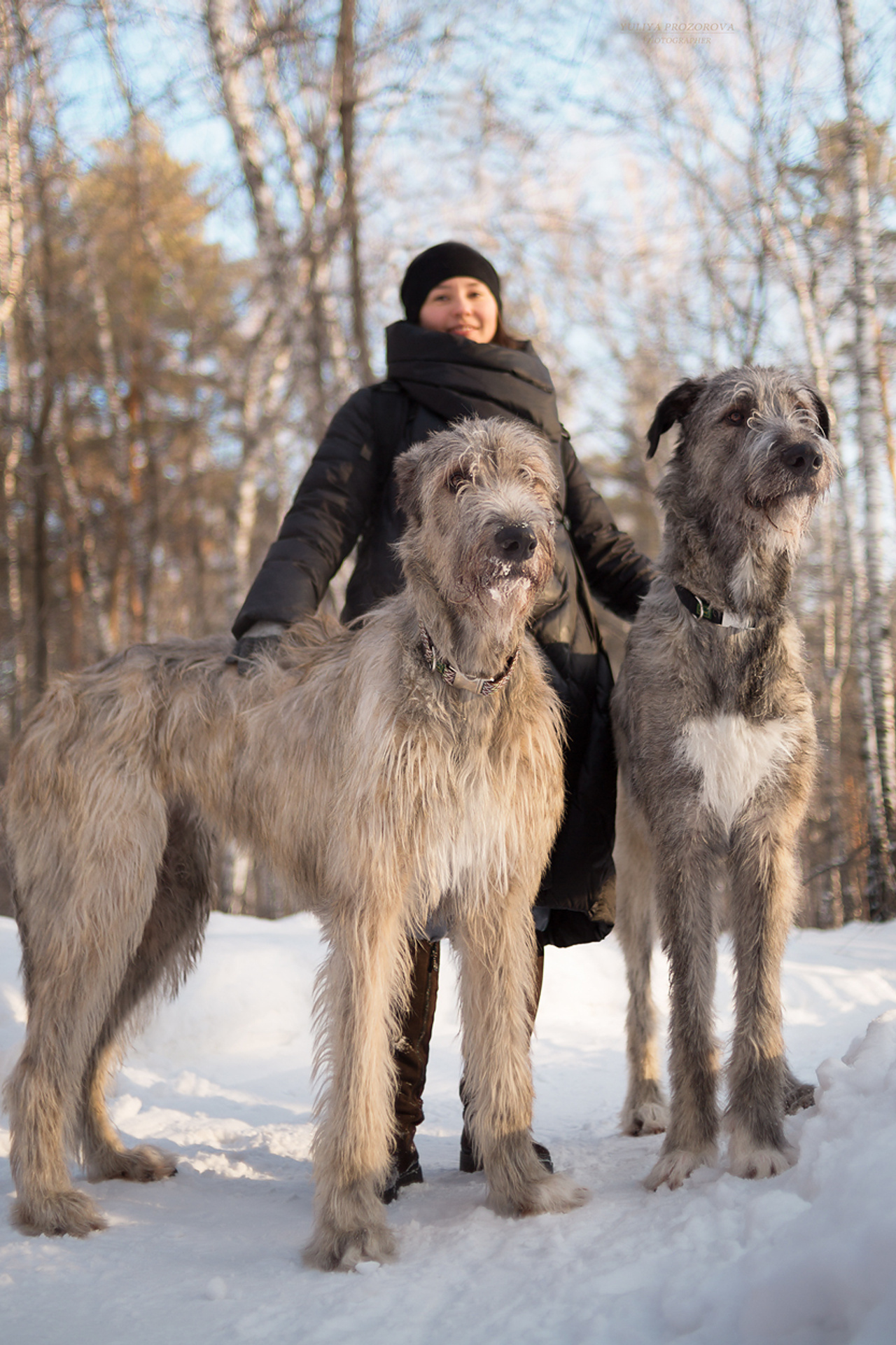 Хан и Марун