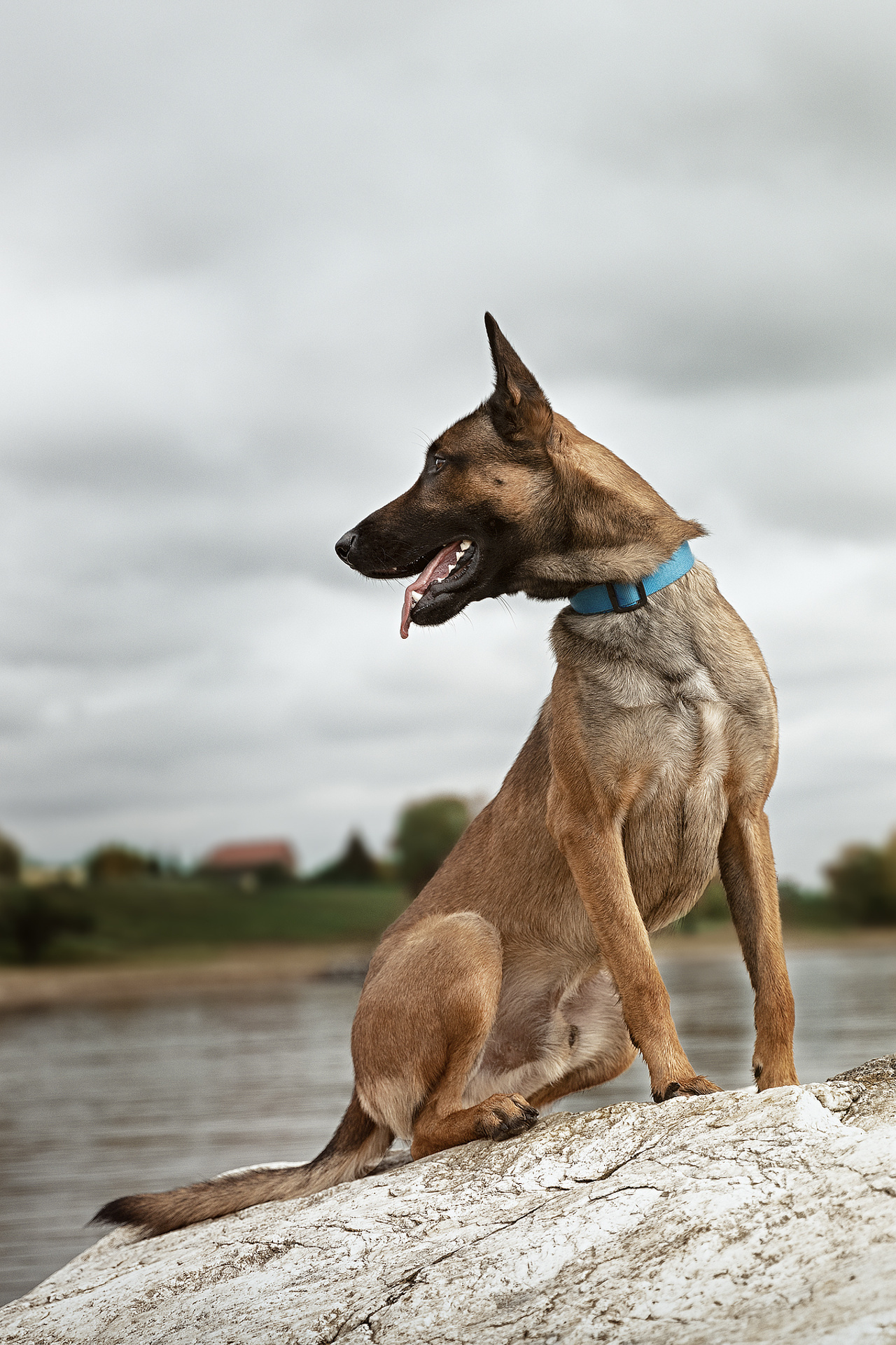 Фотосъемка в Новосибирске. Фотограф в Новосибирске