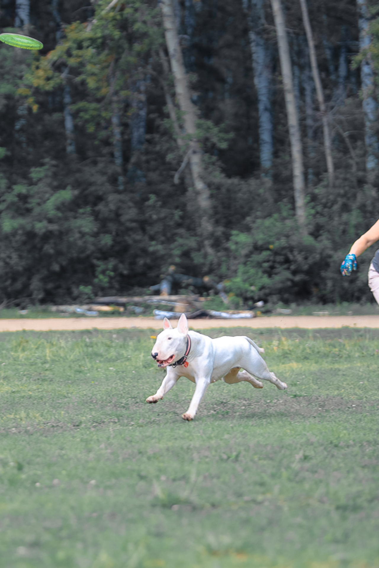 Фотосъемка в Новосибирске. Фотограф в Новосибирске