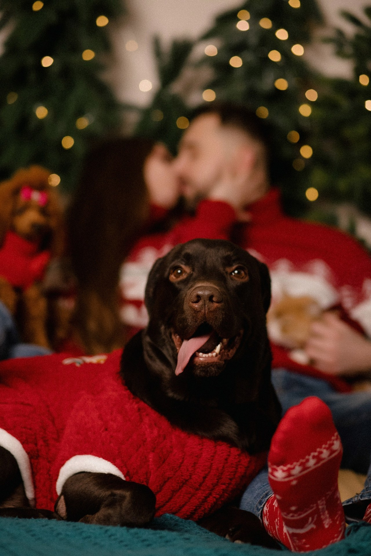 Отзывы. Свадебный и репортажный фотограф в Барнауле Евгений Самосюк