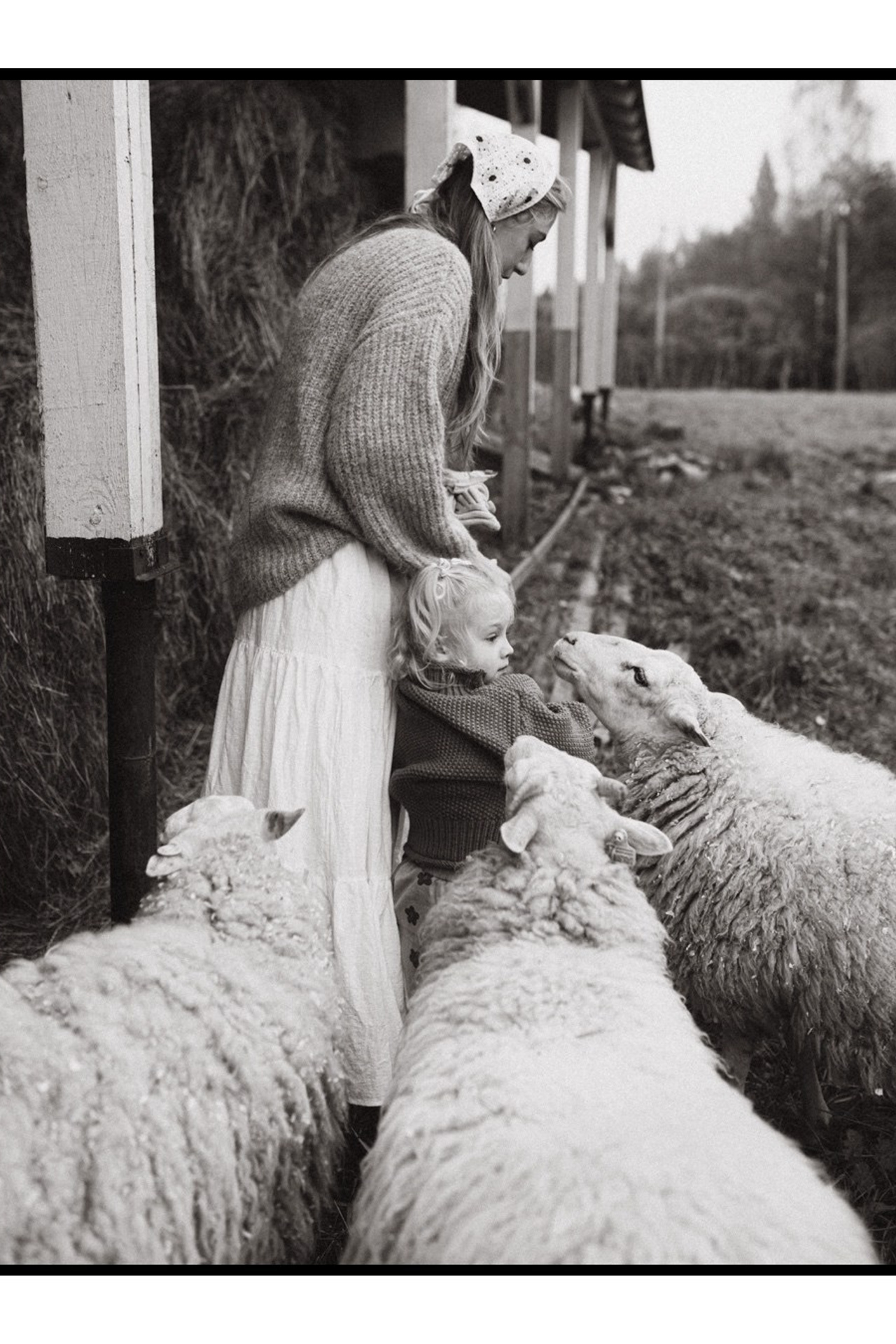 Отзывы. Семейный фотограф Тихвин, Санкт-Петербург и ЛО