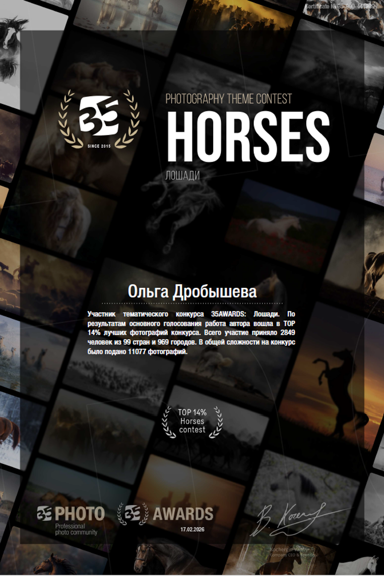 Истории. Фотограф в Москве и Московской области Ольга Дробышева