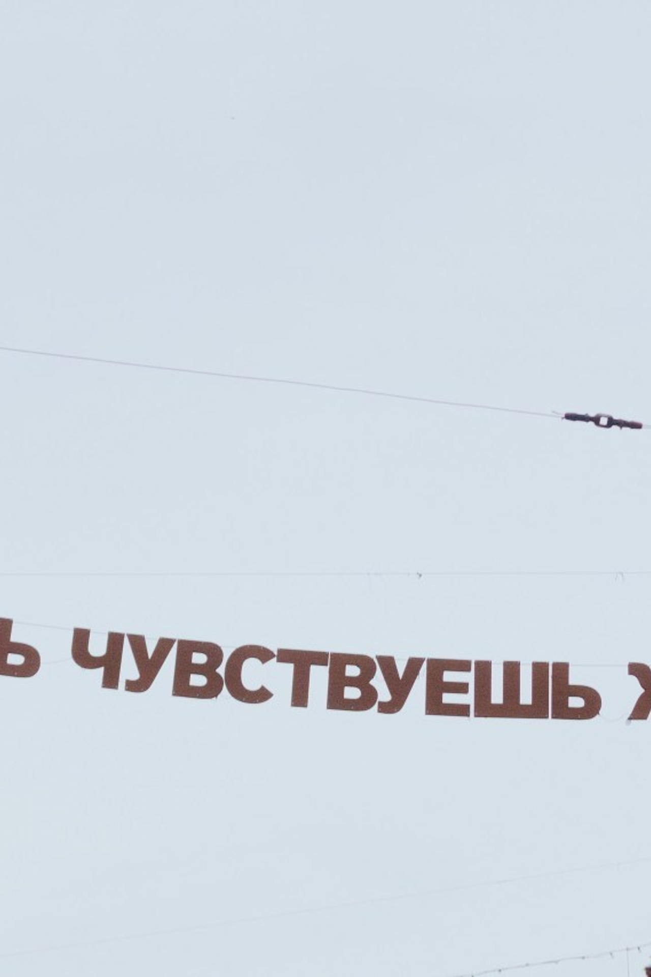 Отзывы. LEVORIGINAL