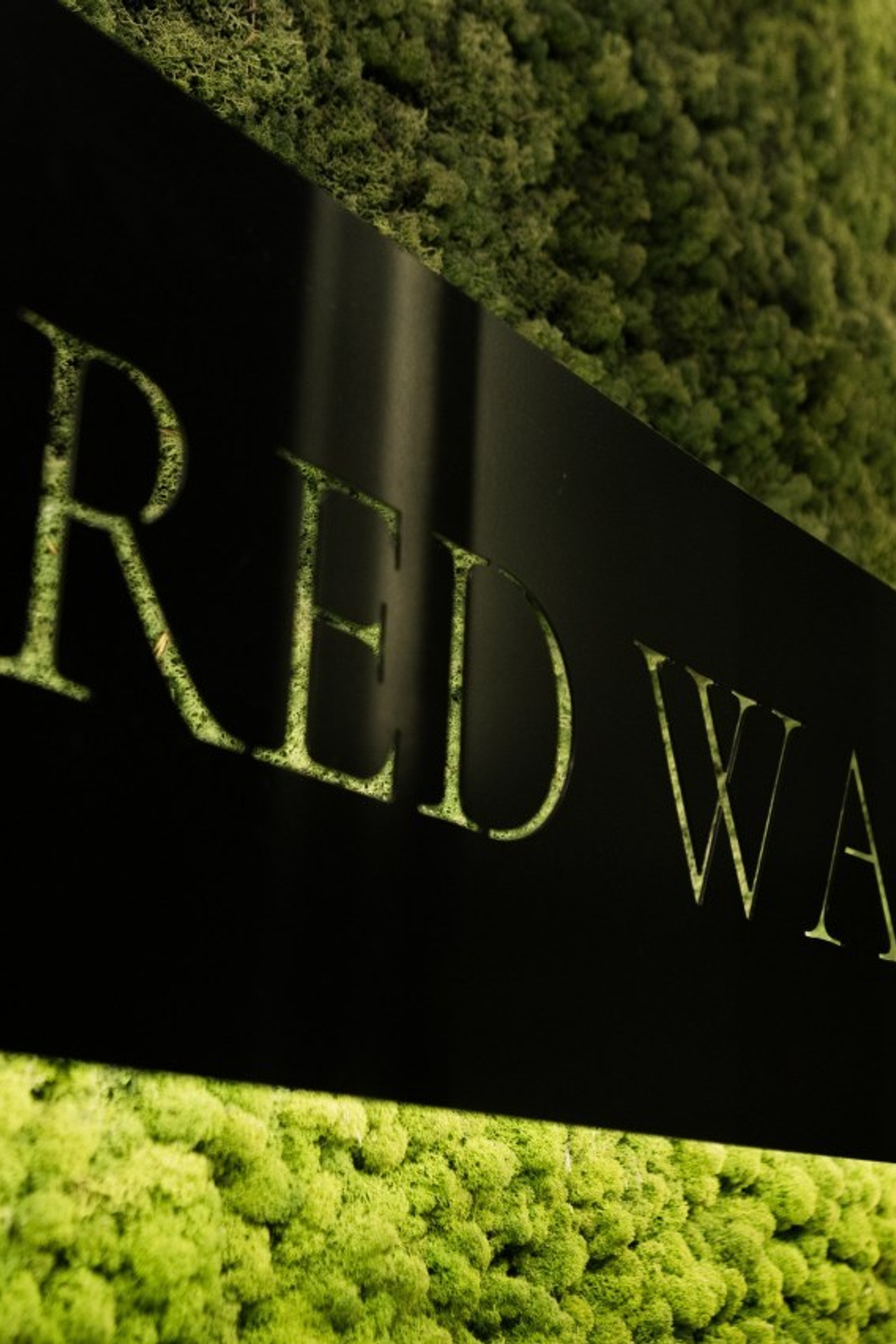 Отзывы. LEVORIGINAL