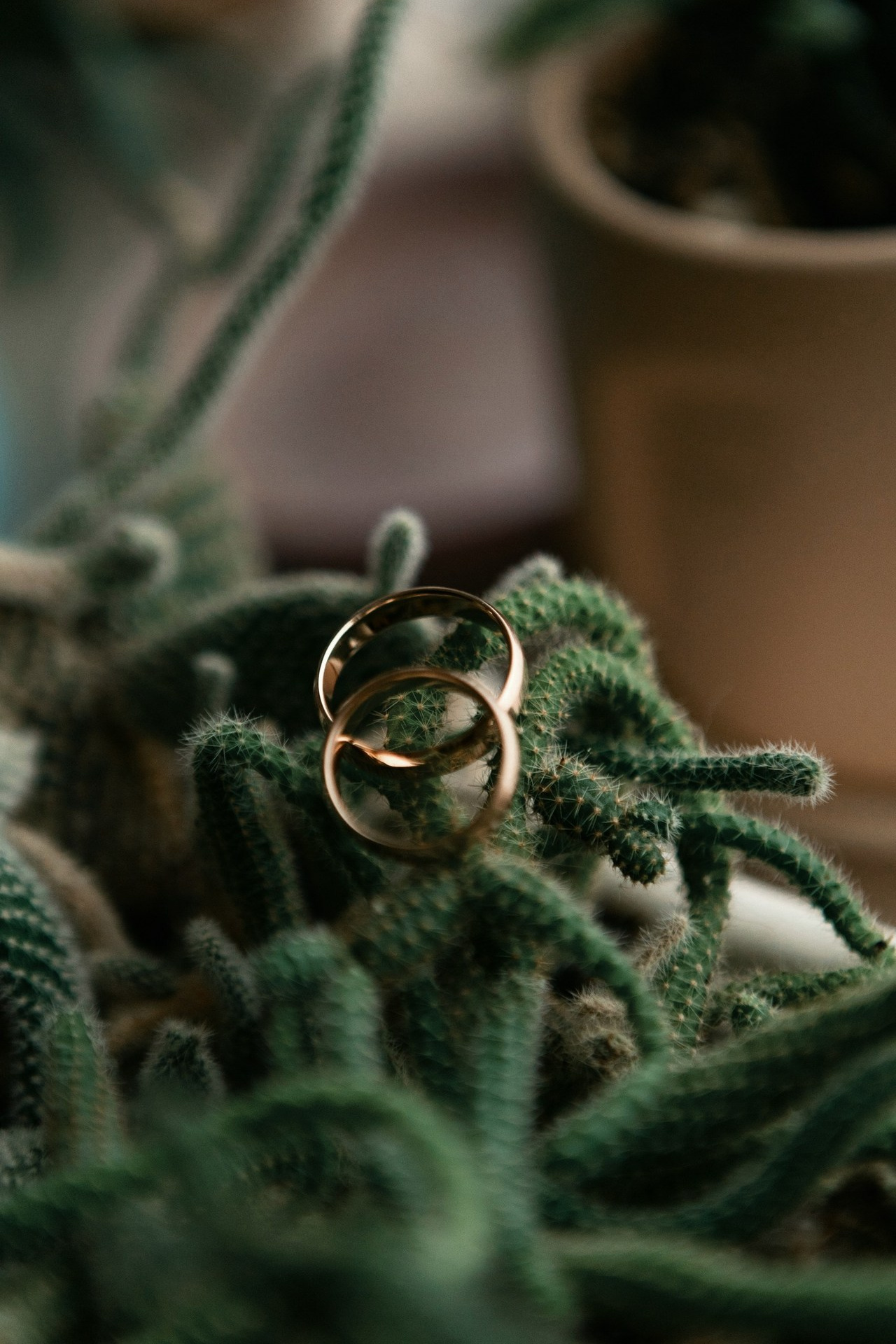 Отзывы. LEVORIGINAL