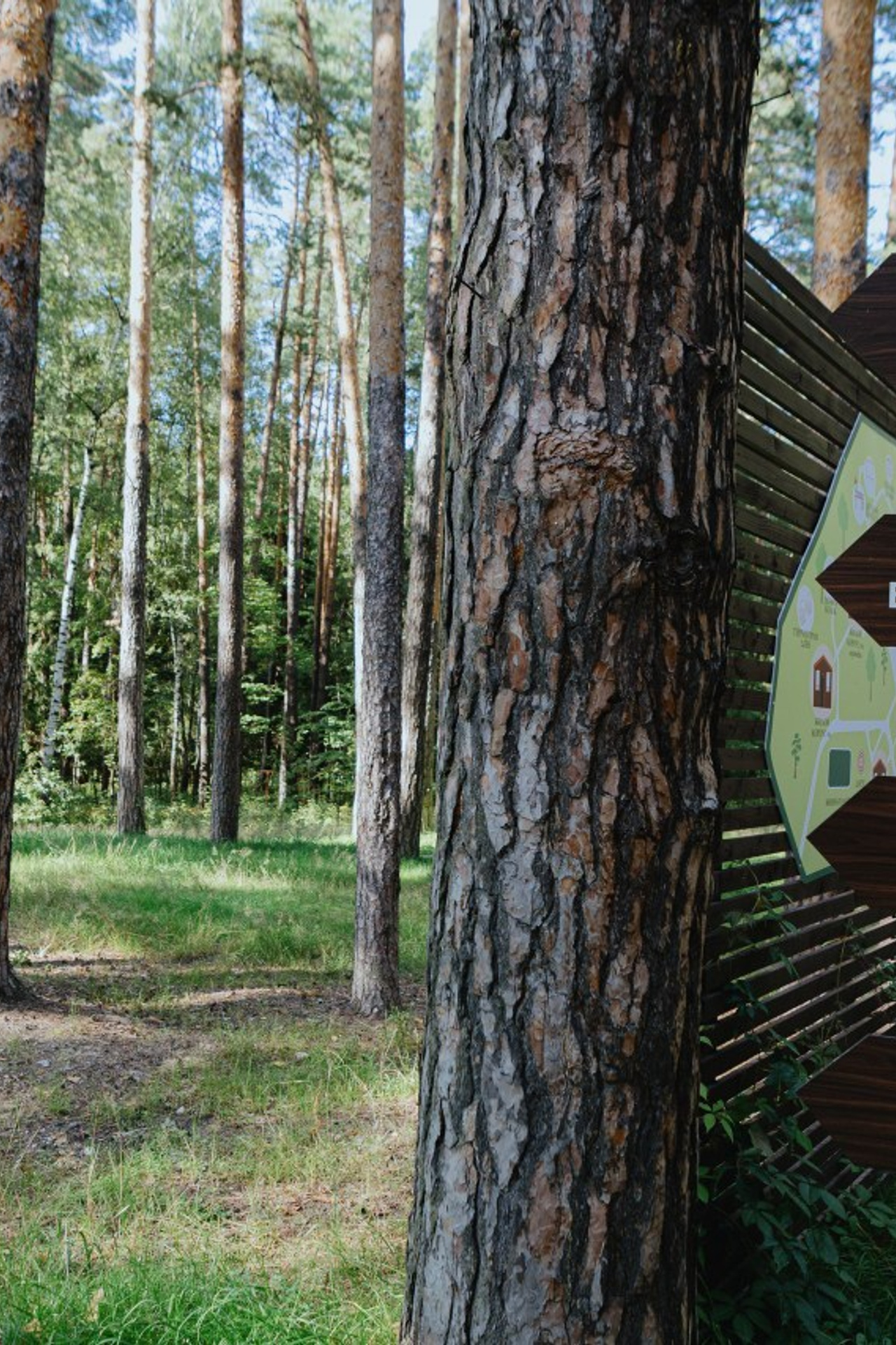 Отзывы. LEVORIGINAL