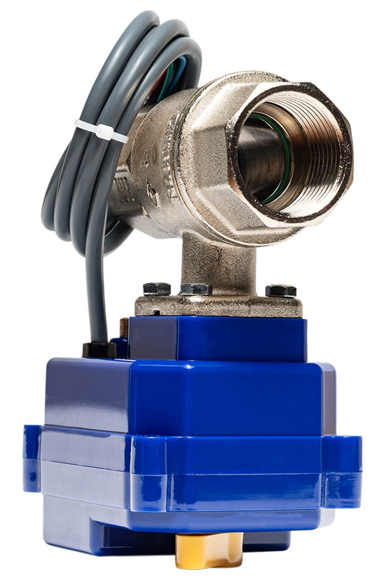 Меню. Коммерческий фотограф в Москве Билуши Василиса