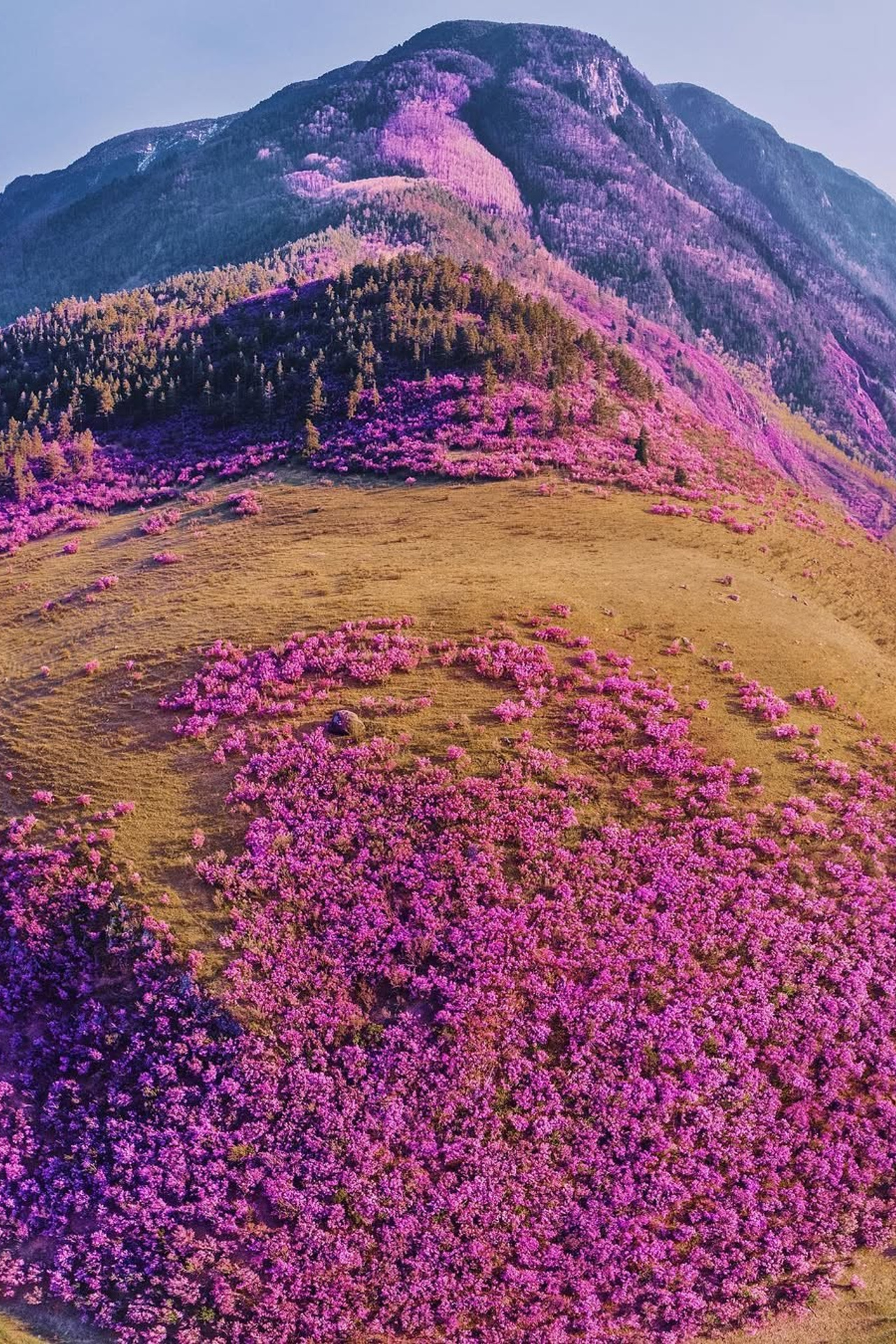 Алтай | весна