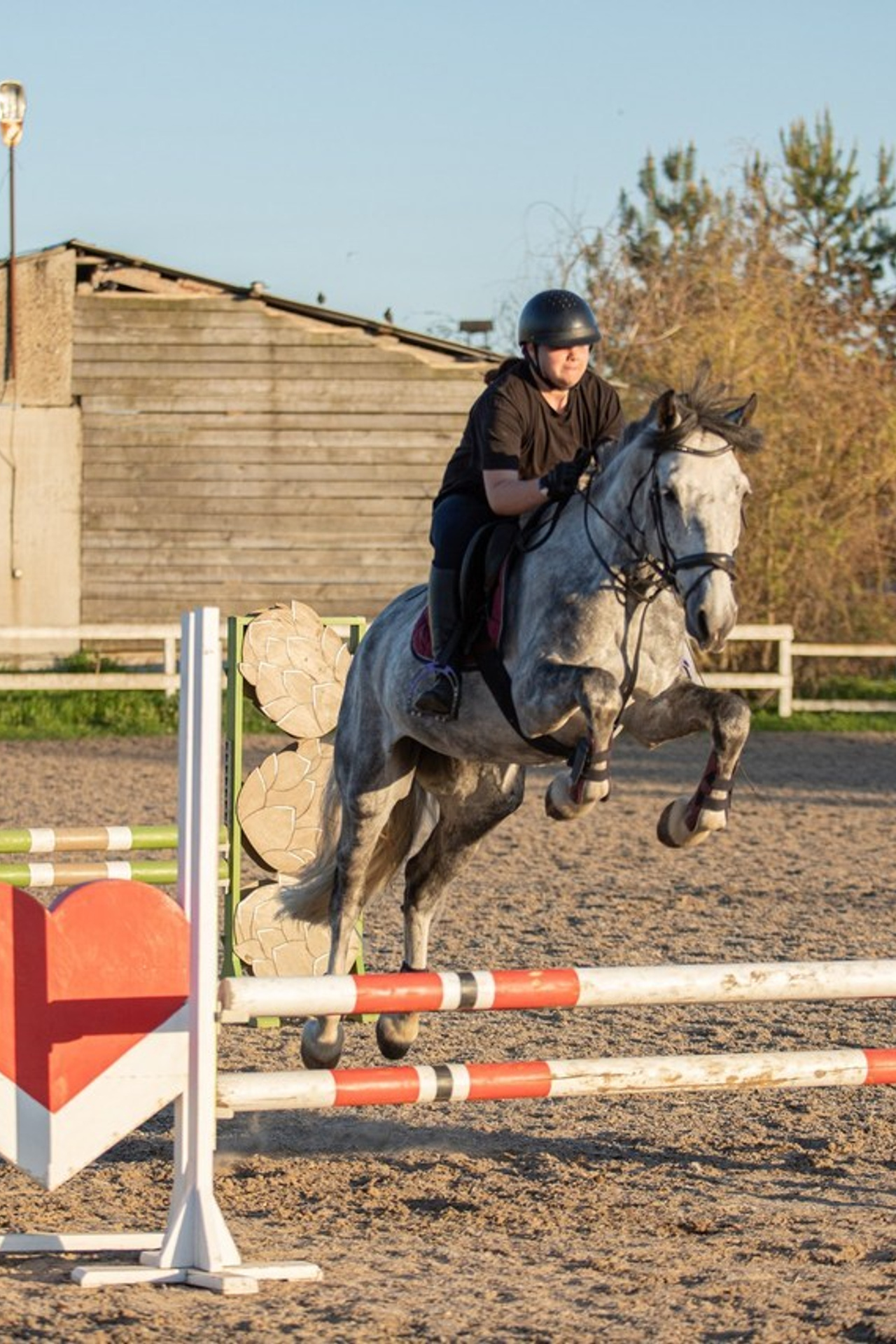 Отзывы. Фотосессии с лошадьми в Москве и МО