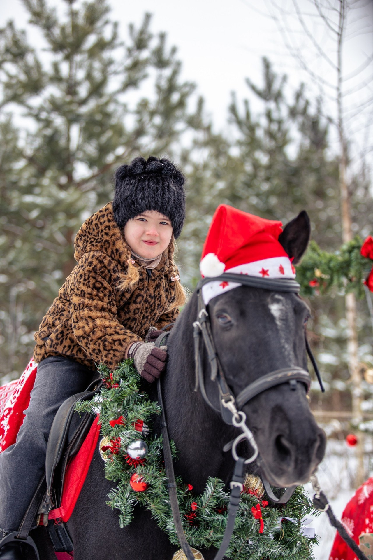 Отзывы. Фотосессии с лошадьми в Москве и МО