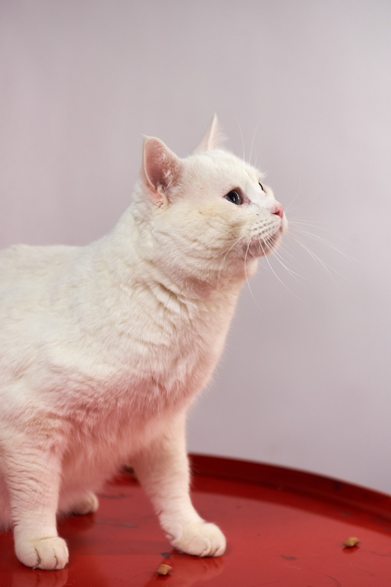 Отзывы. Андрей Винников фотограф в Нижнем Новгороде