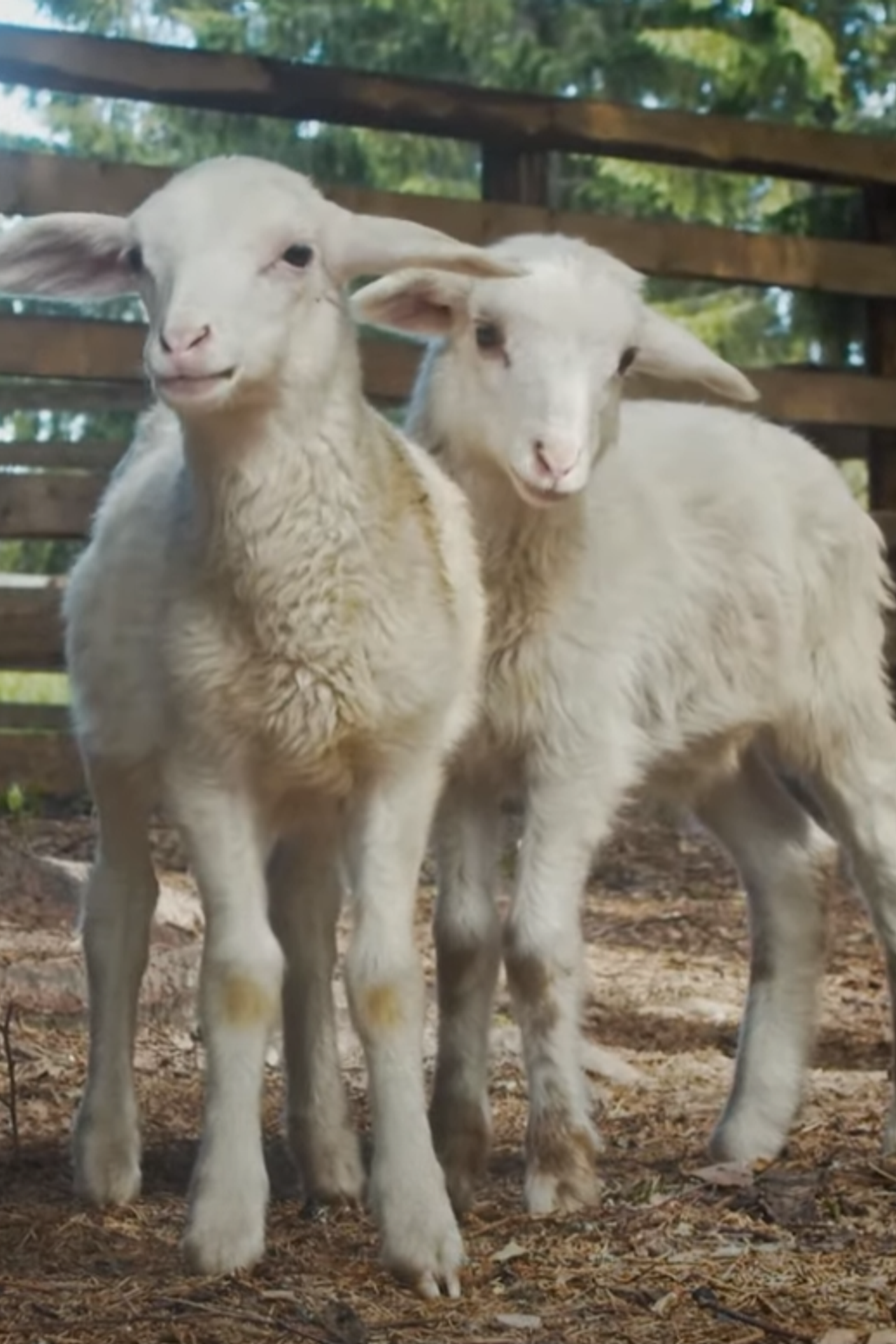 Кейсы. Качественный продакшн для вашего бизнеса — фотосъемка, видеосъемка, создание контента