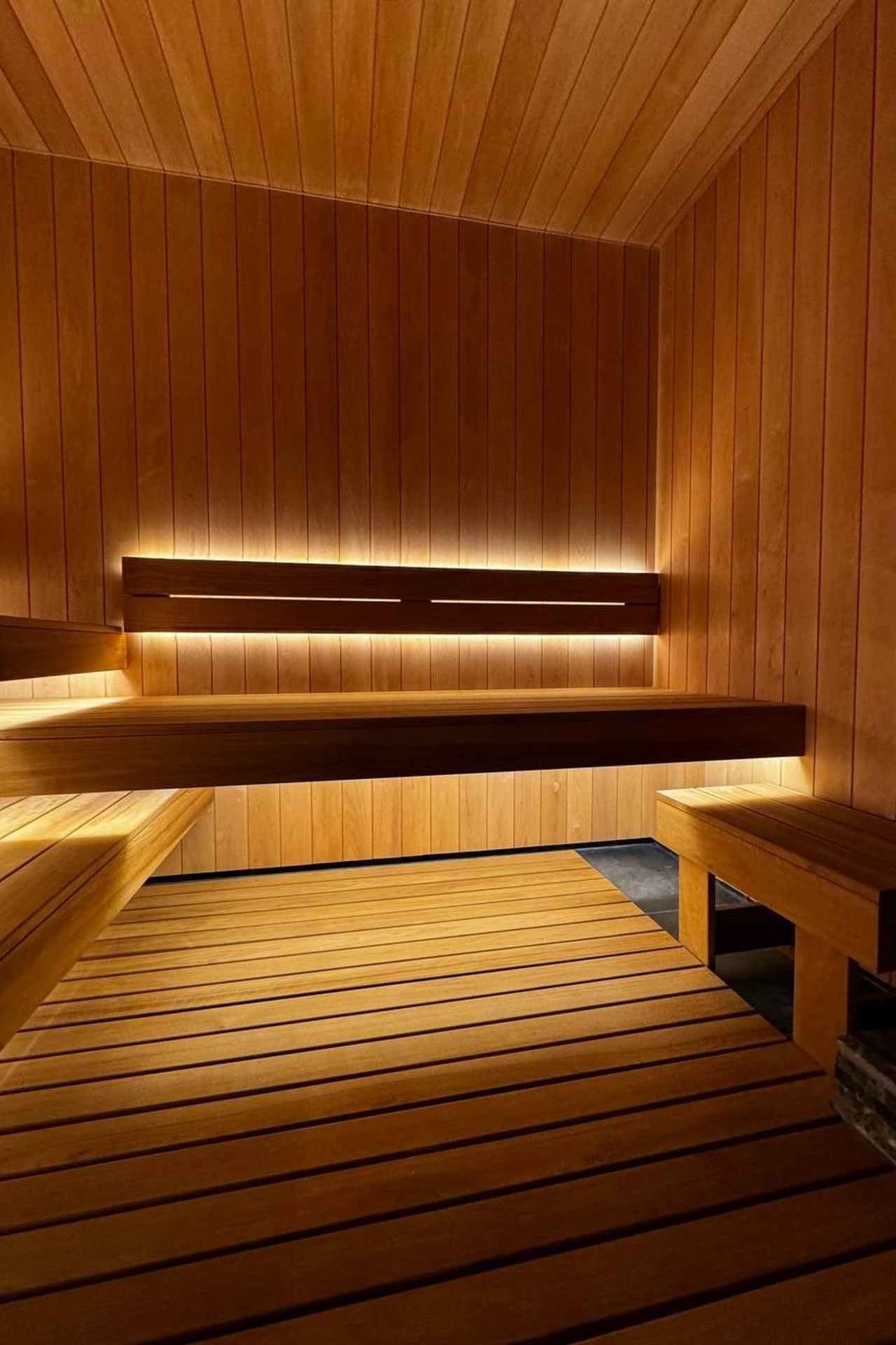 Баня из&nbsp;чёрной ольхи с&nbsp;полками из&nbsp;термоосины