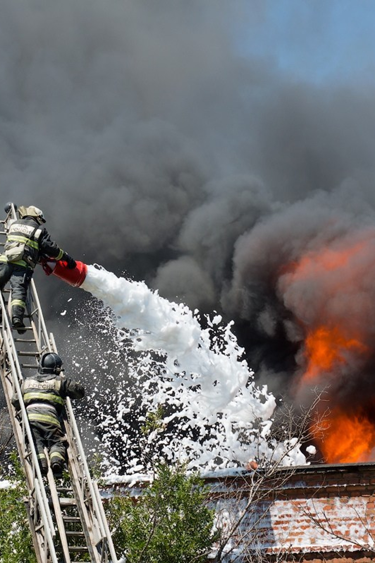 Происшествия