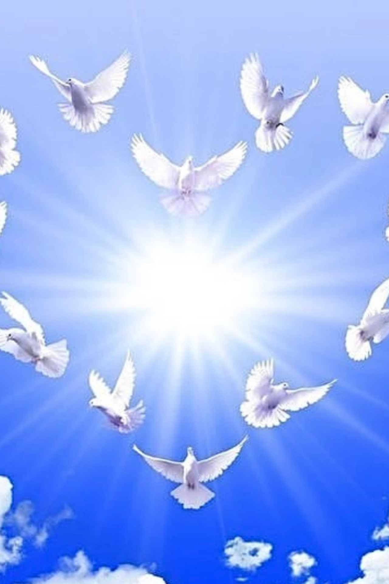 Отзывы. Фотограф в Перми Anastasia Aone