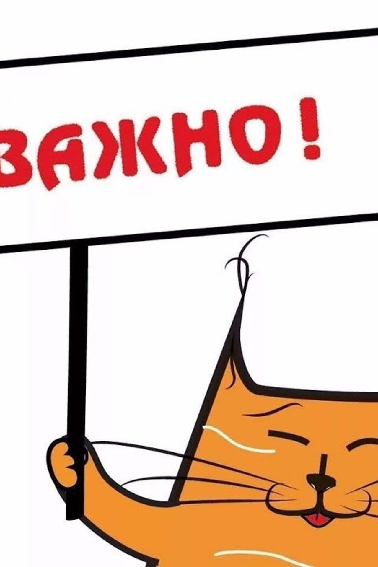 БЛОГ. Фотограф Любава Колесник. Выпускные альбомы в Крымском районе