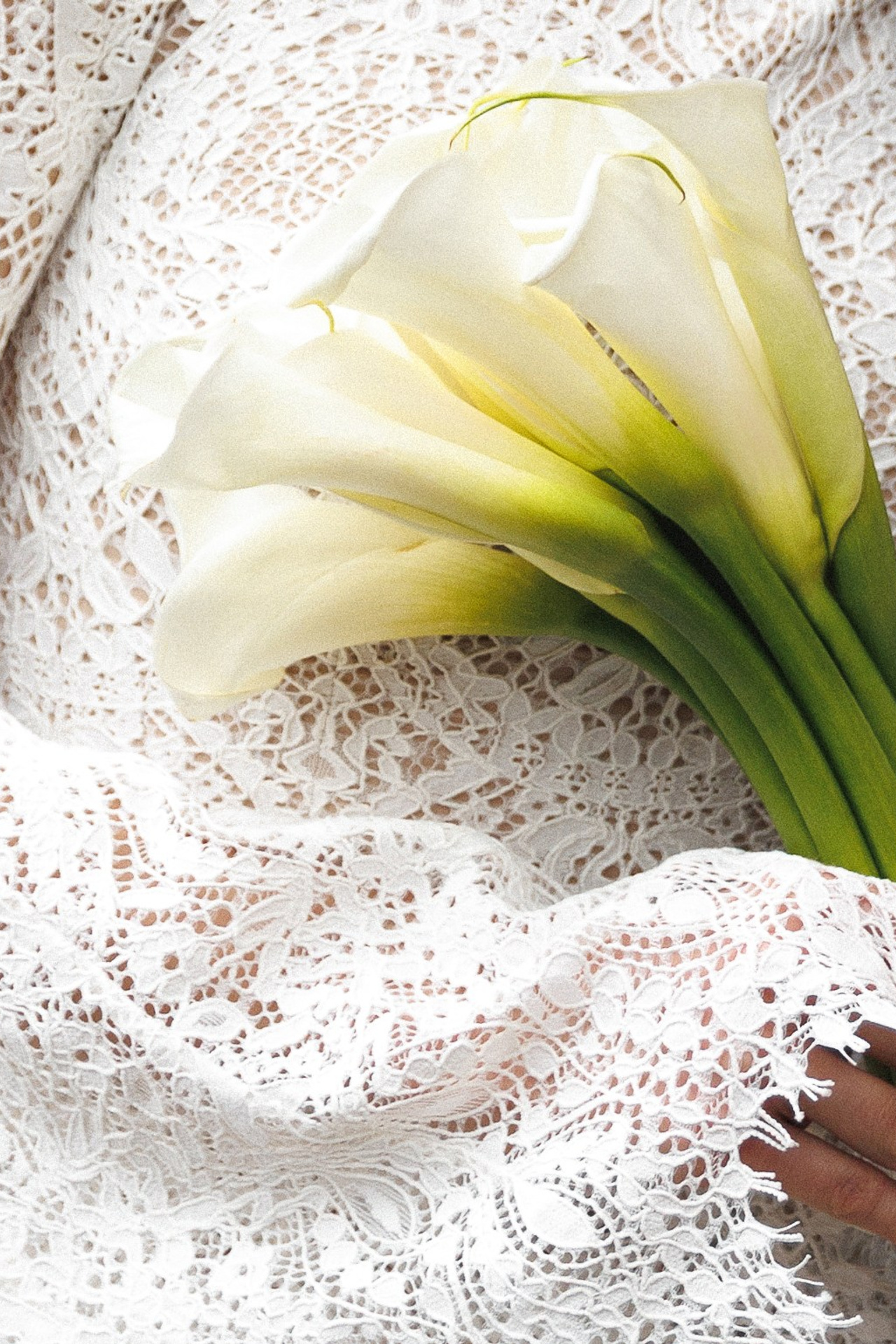 Анна и Виктор. Свадебный и индивидуальный фотограф в Воронеже Светлана Сомова