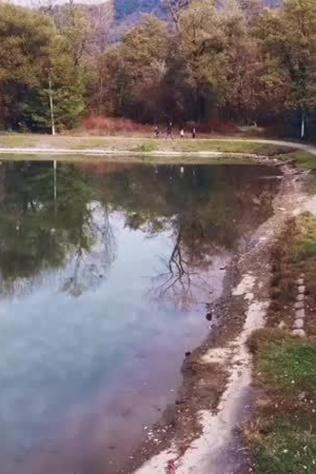 Фотосессии на плэнере. Фотограф Сергей Салманов Studiophotosharm