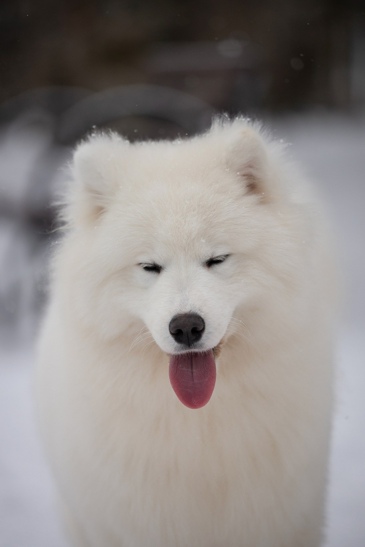 Отзывы. Творческий фотограф Вологда