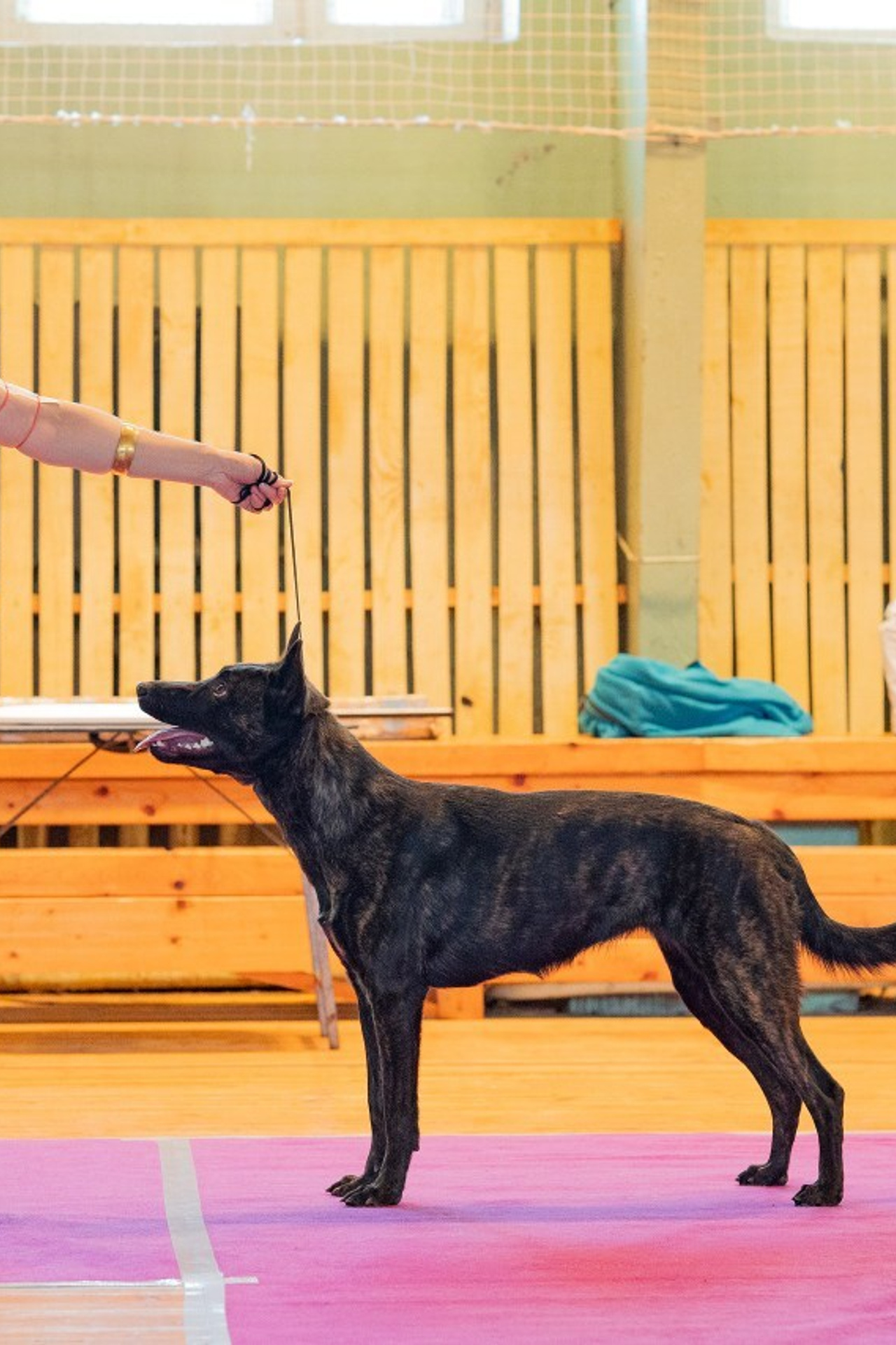 Отзывы. Творческий фотограф Вологда