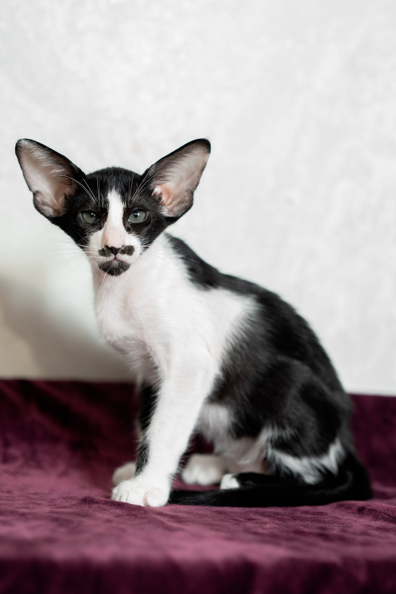 Отзывы. Творческий фотограф Вологда