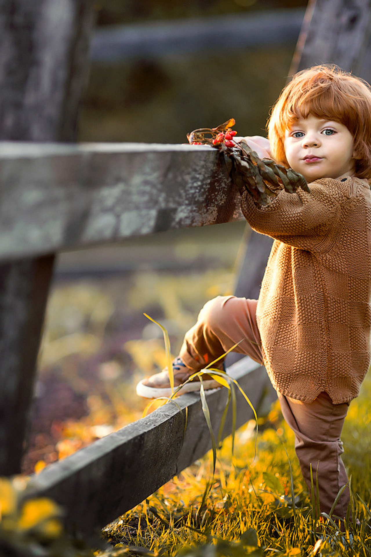 Инфо. Семейный фотограф Надя Мелисова, фотограф беременности, Москва