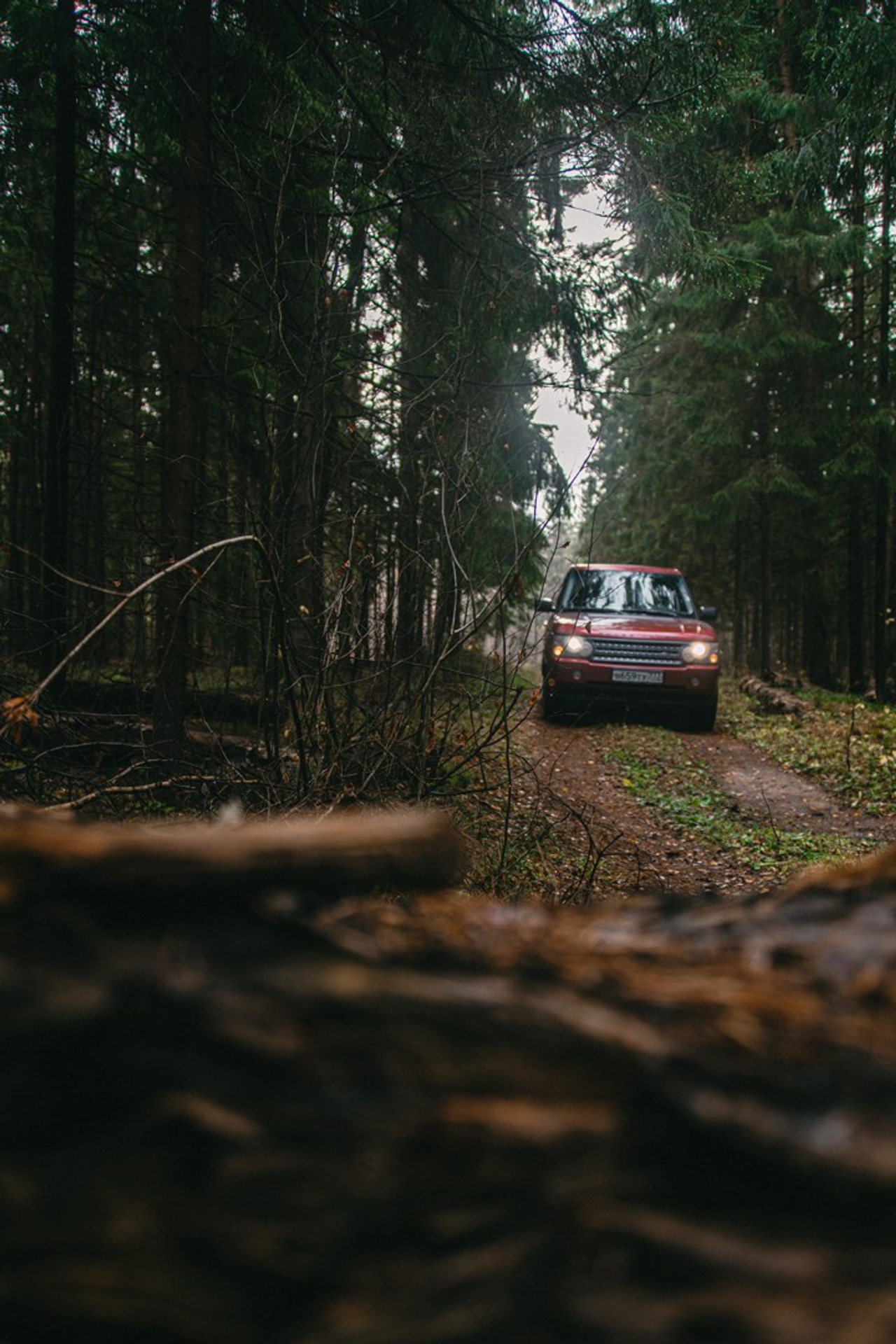 Жуков Илья  свадебный фотограф в Москве