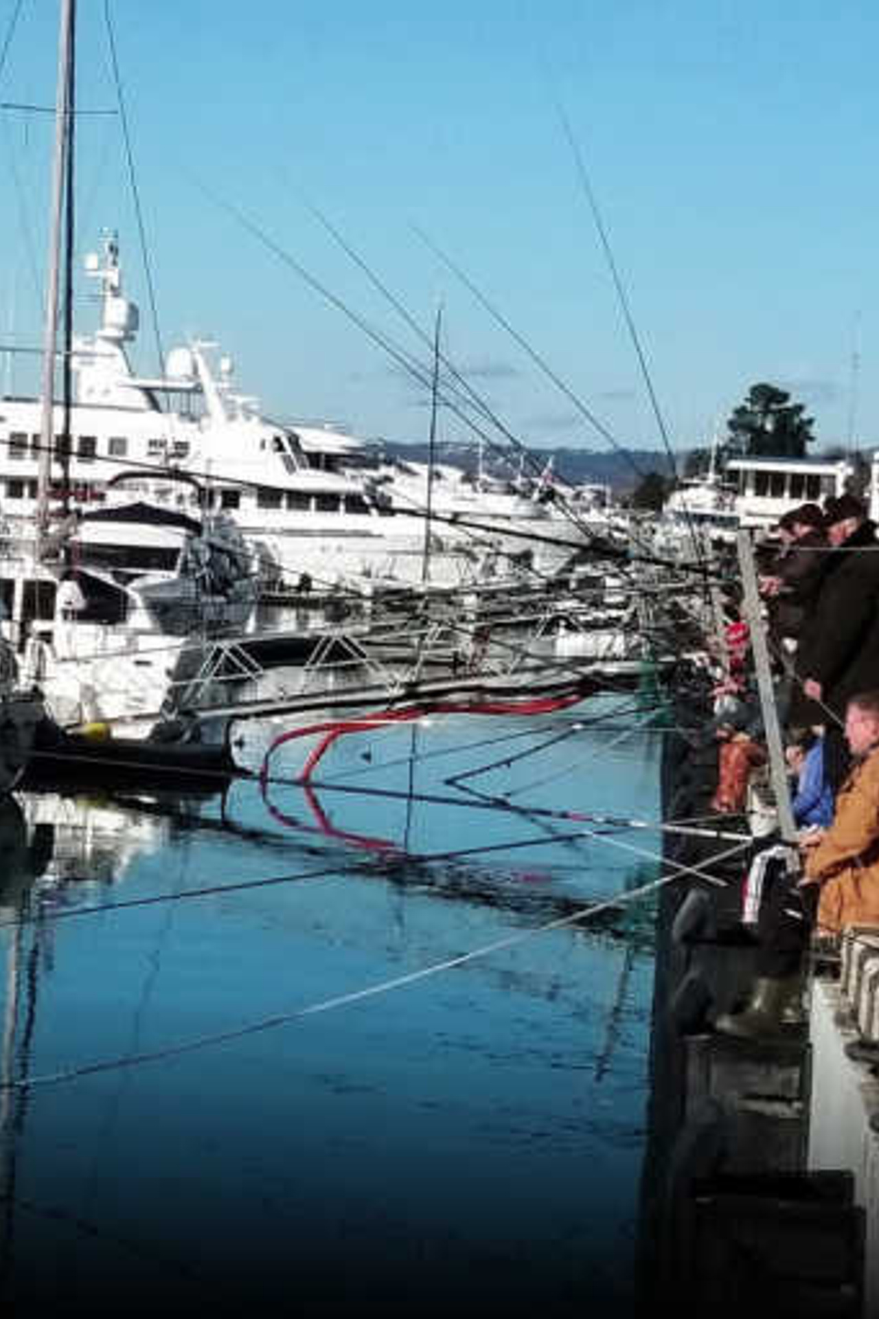 Новости порт Сочи