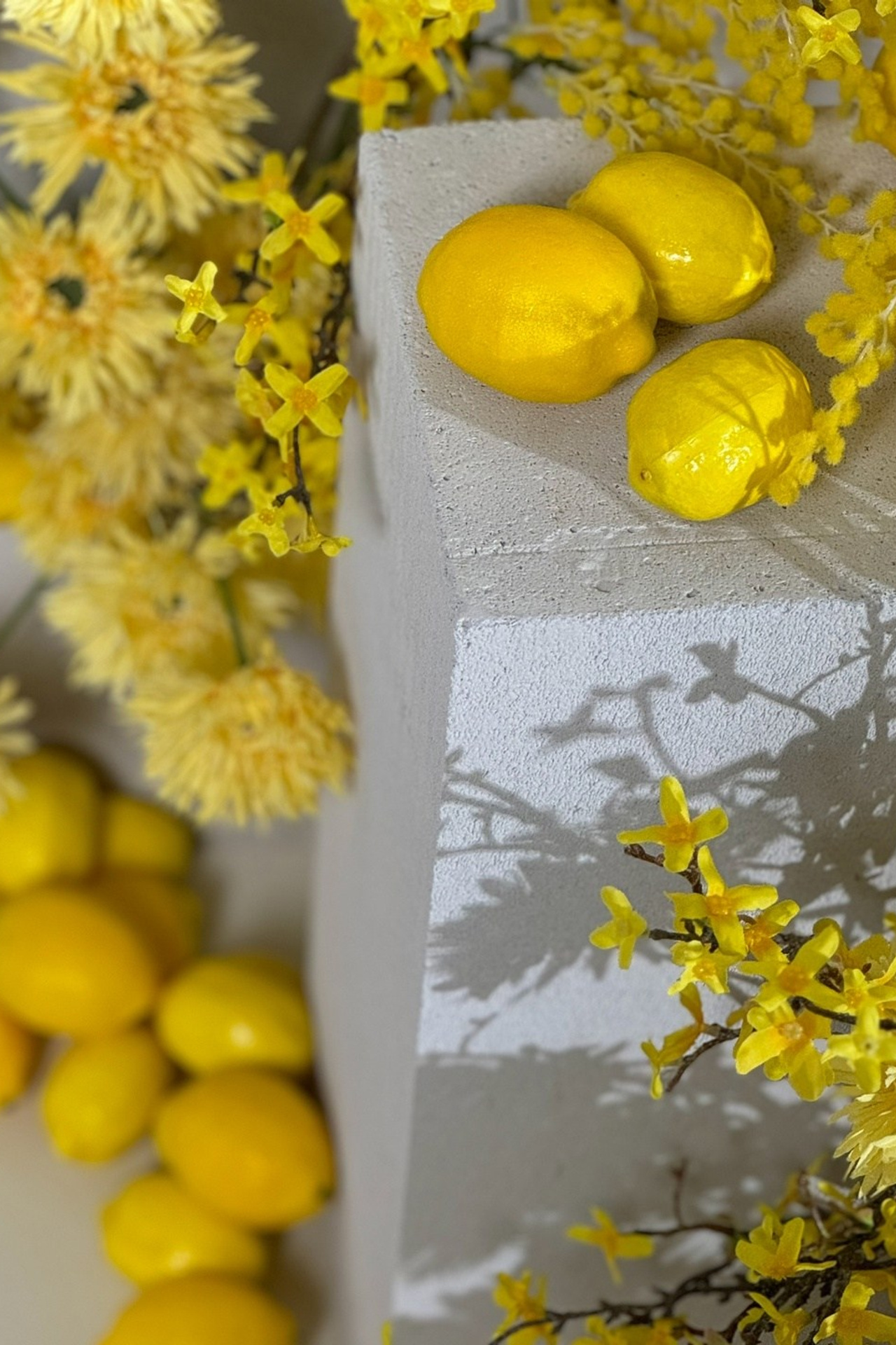 Cute — улица Лидии Базановой, 11, Тверь