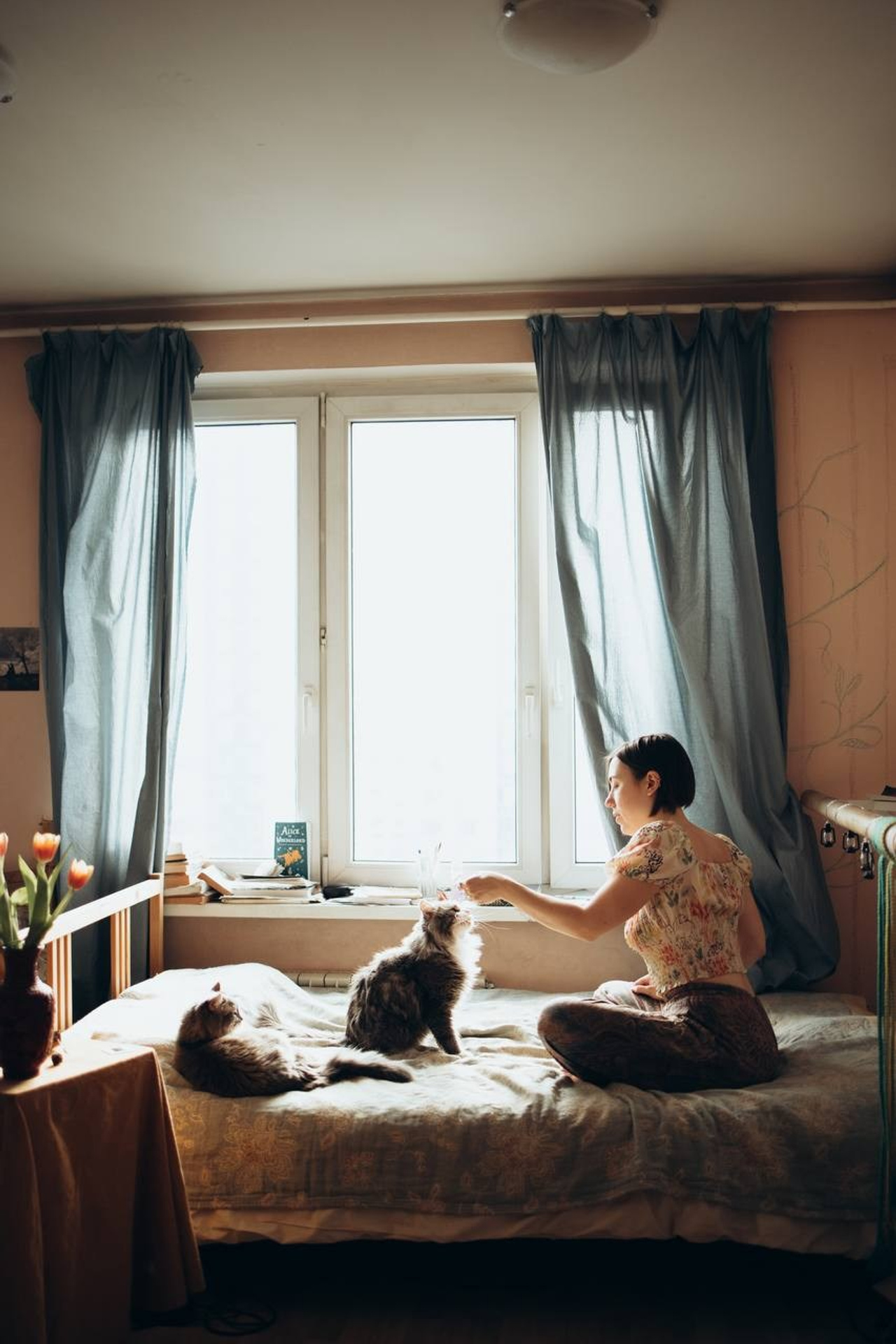 Мурчащие коты