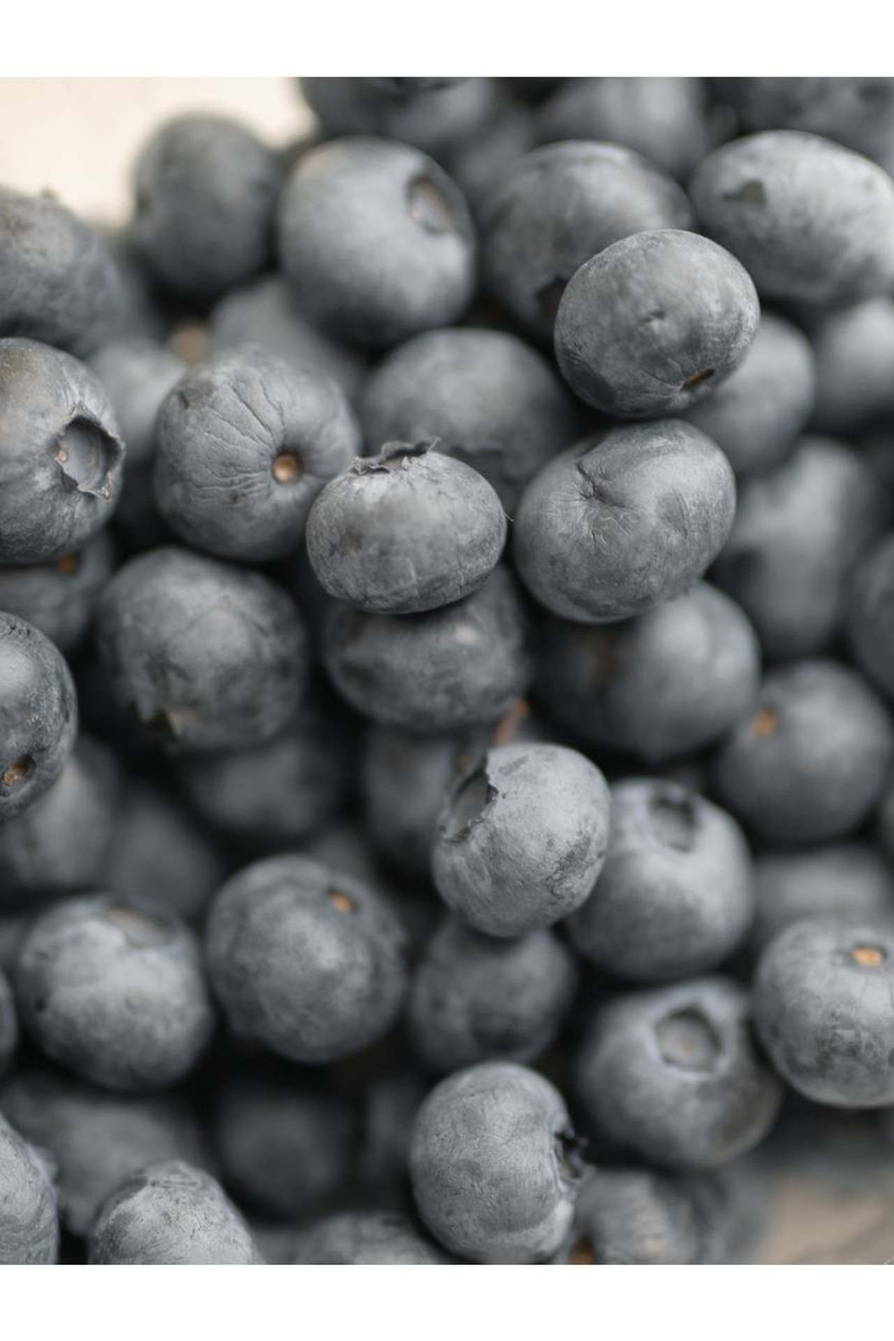 Никита и Вероника