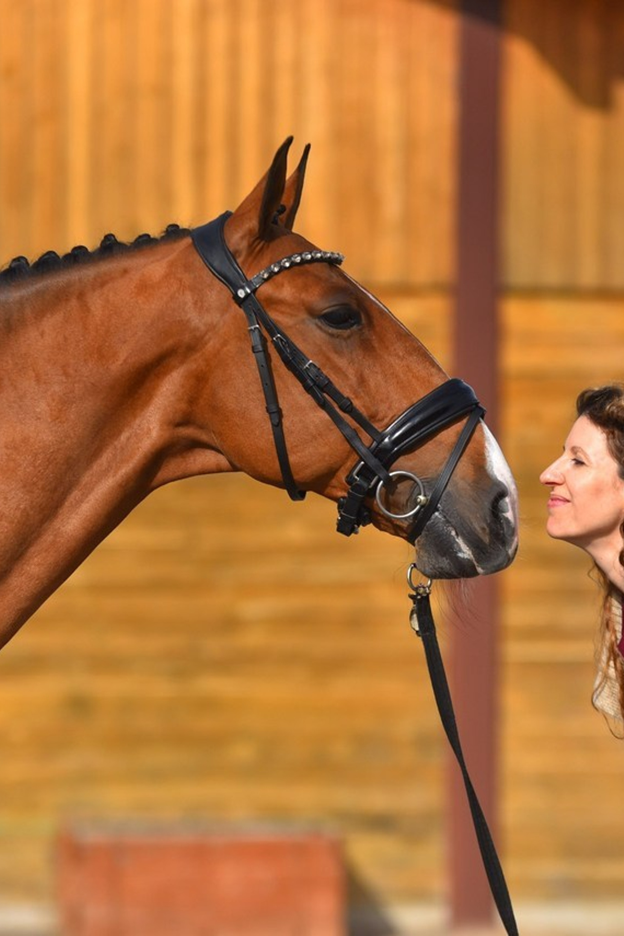 Отзывы. Конный фотограф из Москвы Ирина Бондаркова