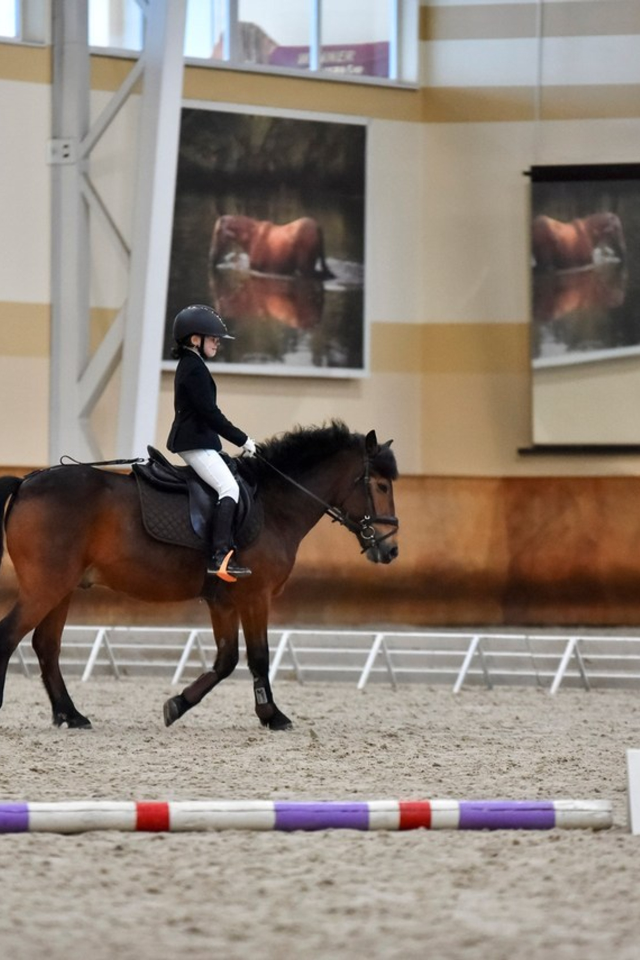 Отзывы. Конный фотограф из Москвы Ирина Бондаркова