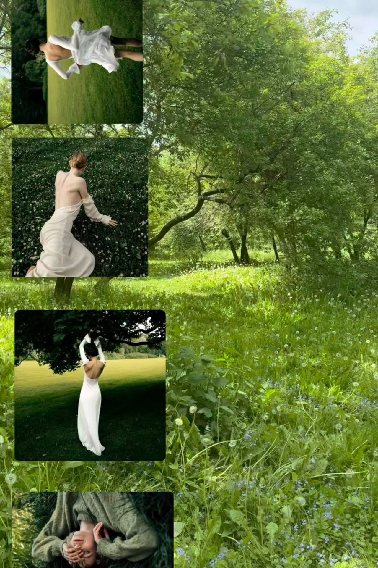 Проекты. Тучина Дарья фотограф