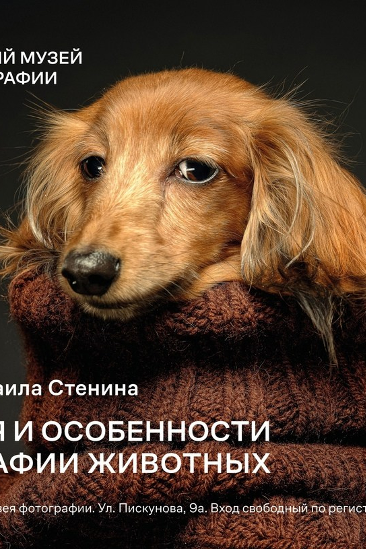 Михаил Стенин фотограф выставки. Photographer Michael Stenin