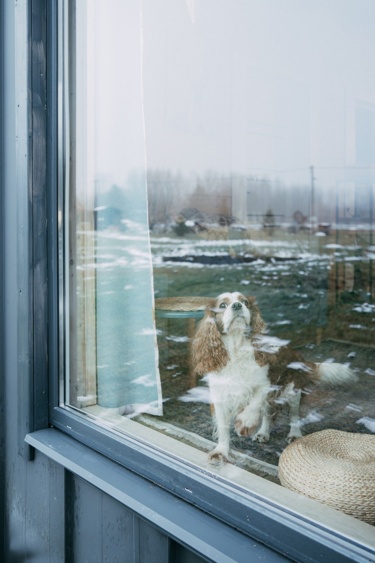 Отзывы. Фотограф в Санкт-Петербурге Цуркан Марина и онлайн по всему миру