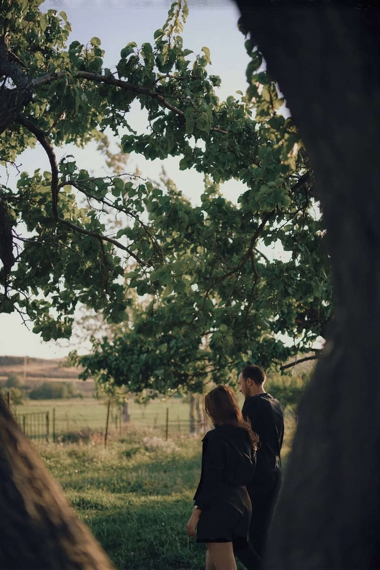 Семья/любовь/дружба