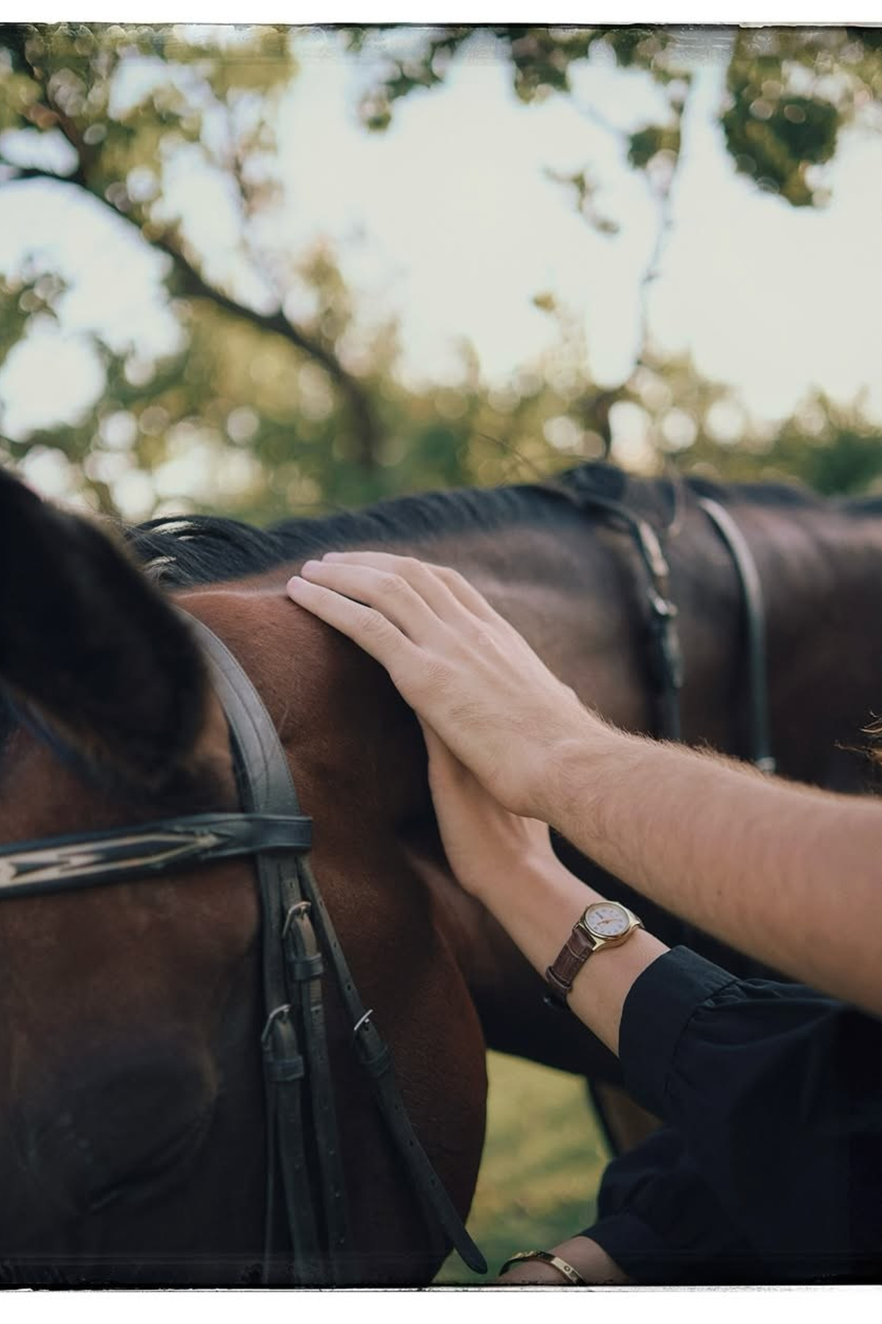 Семья/любовь/дружба