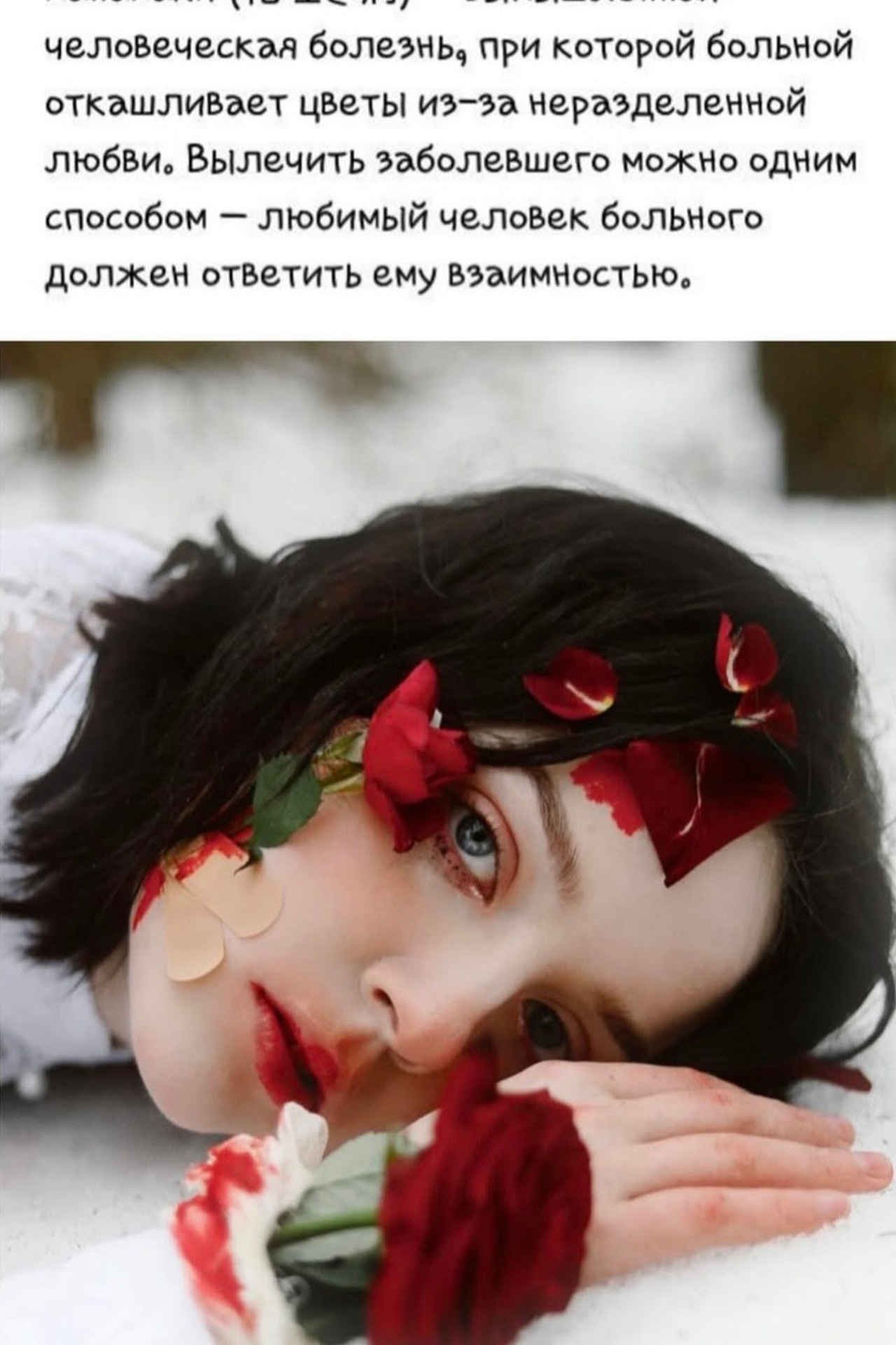 Индивидуальная съёмка. Фотограф Анна Павлюченко или Feelthephoto_