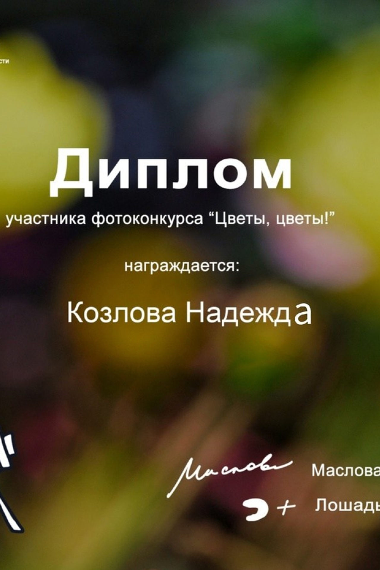 О фотографе. Надежда Козлова, фотограф, Санкт — Петербург