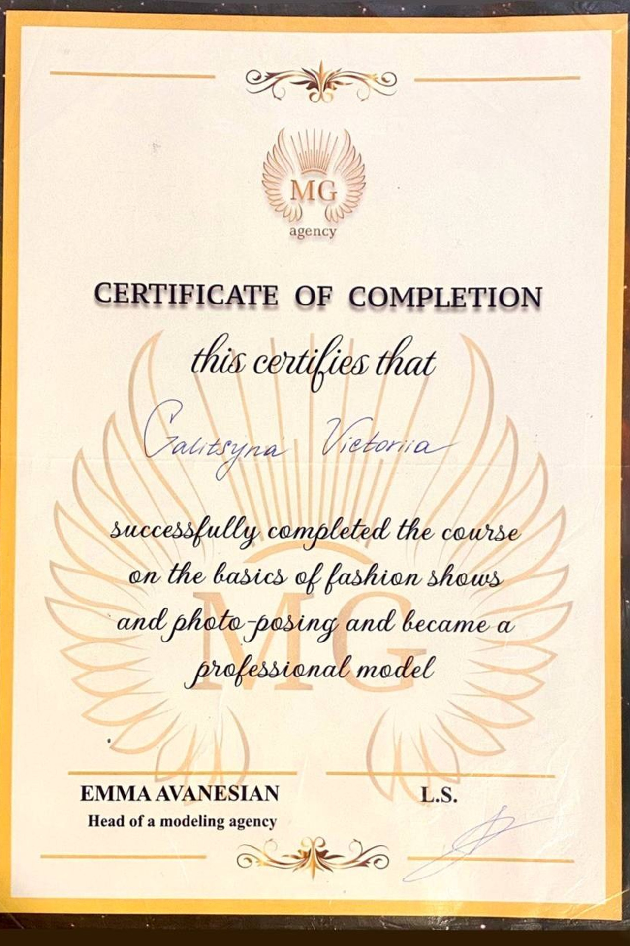 Видеовизитка