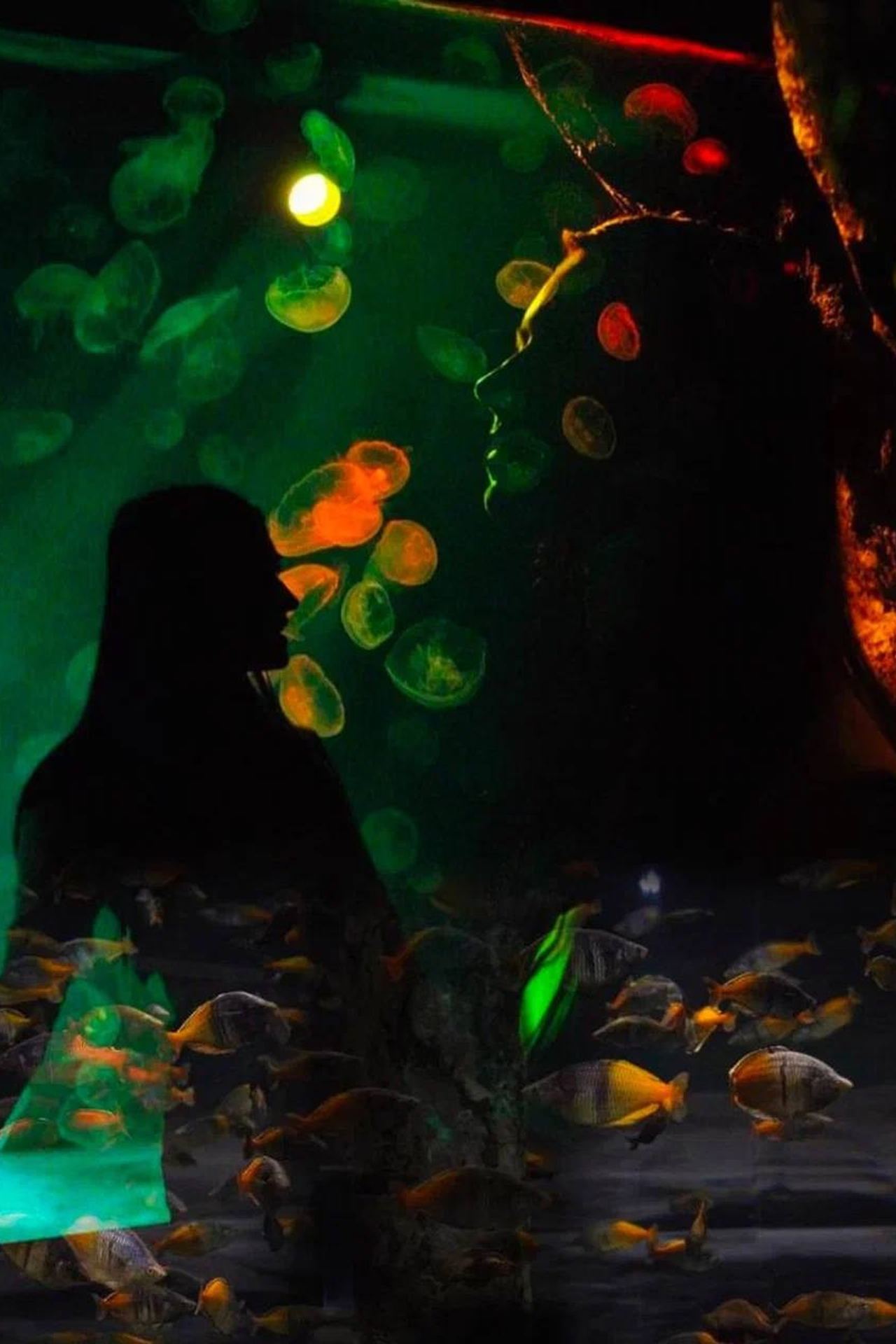 Океонариум